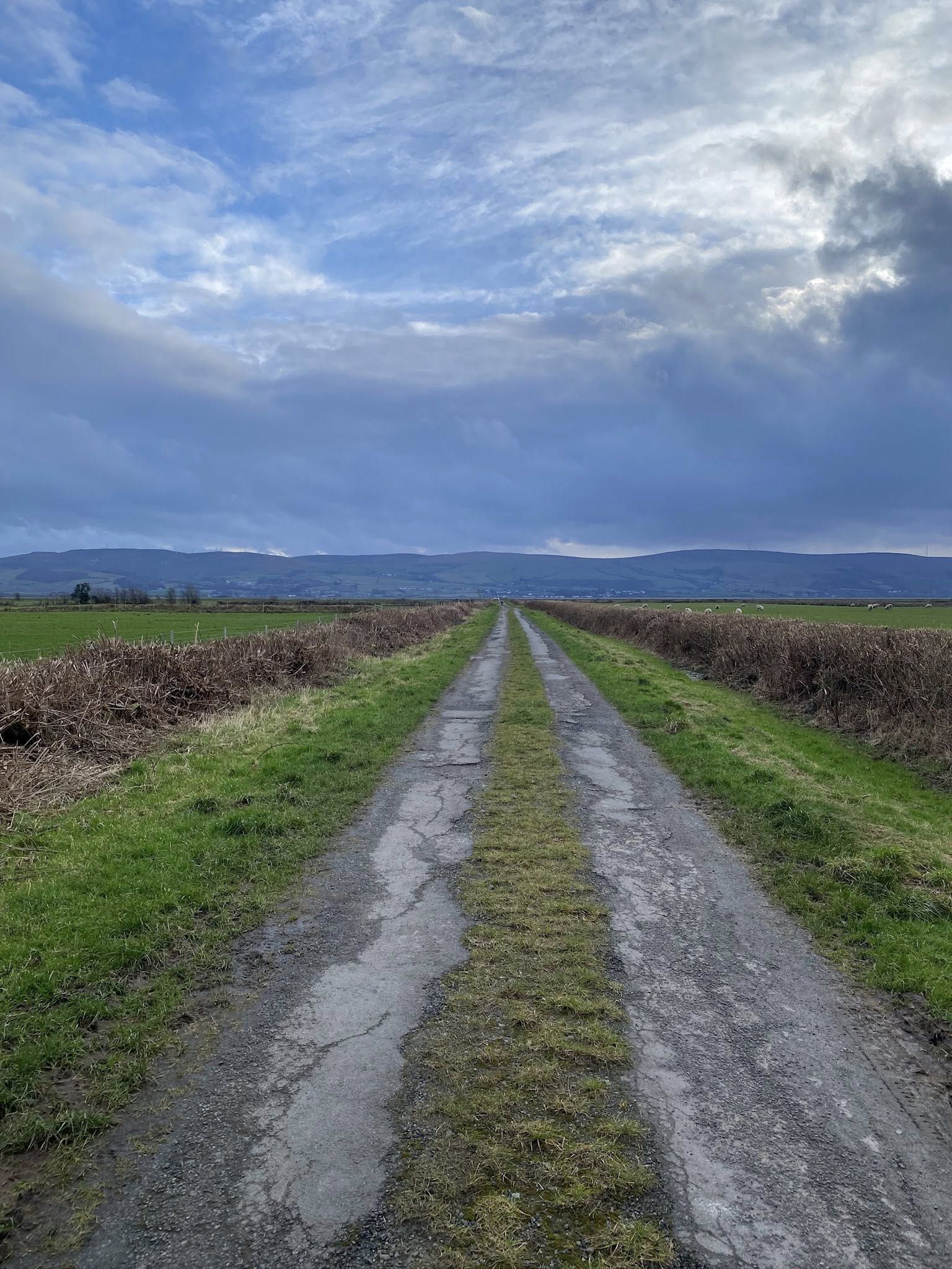 Scenic view along track