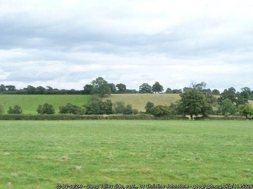 Hillside east of River Alne, copyright Christine Johnstone, used under Creative Commons licence v2.0.