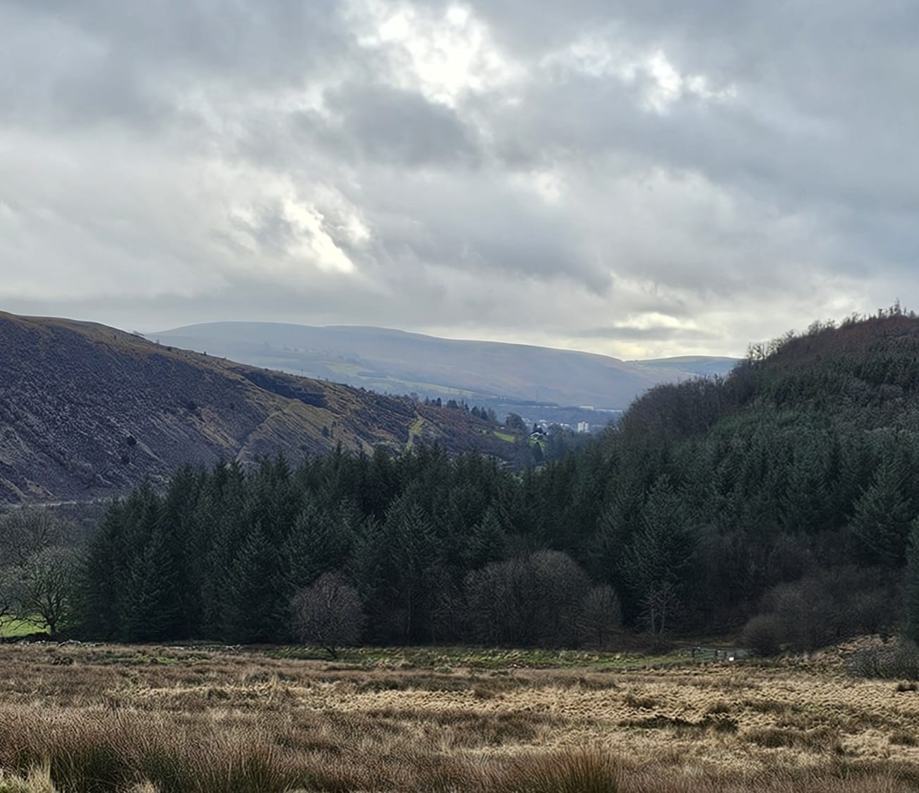 llwyn-onn-&-garwnant-001