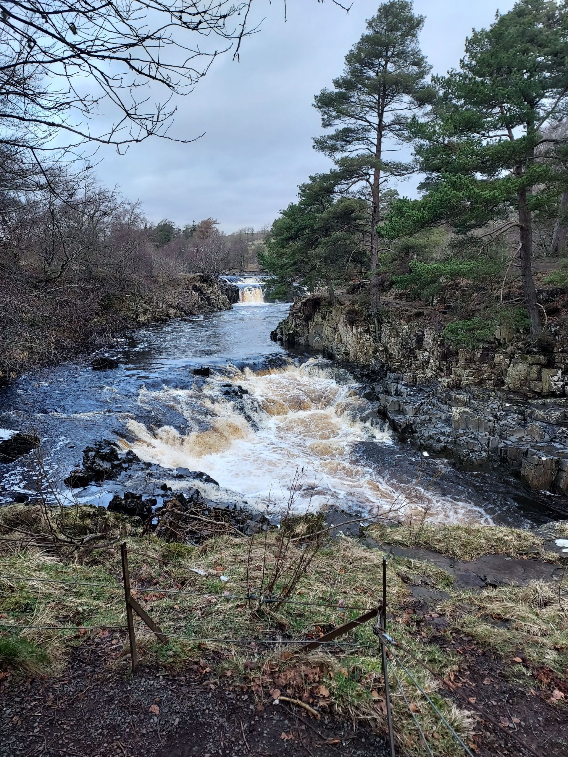 Low Force