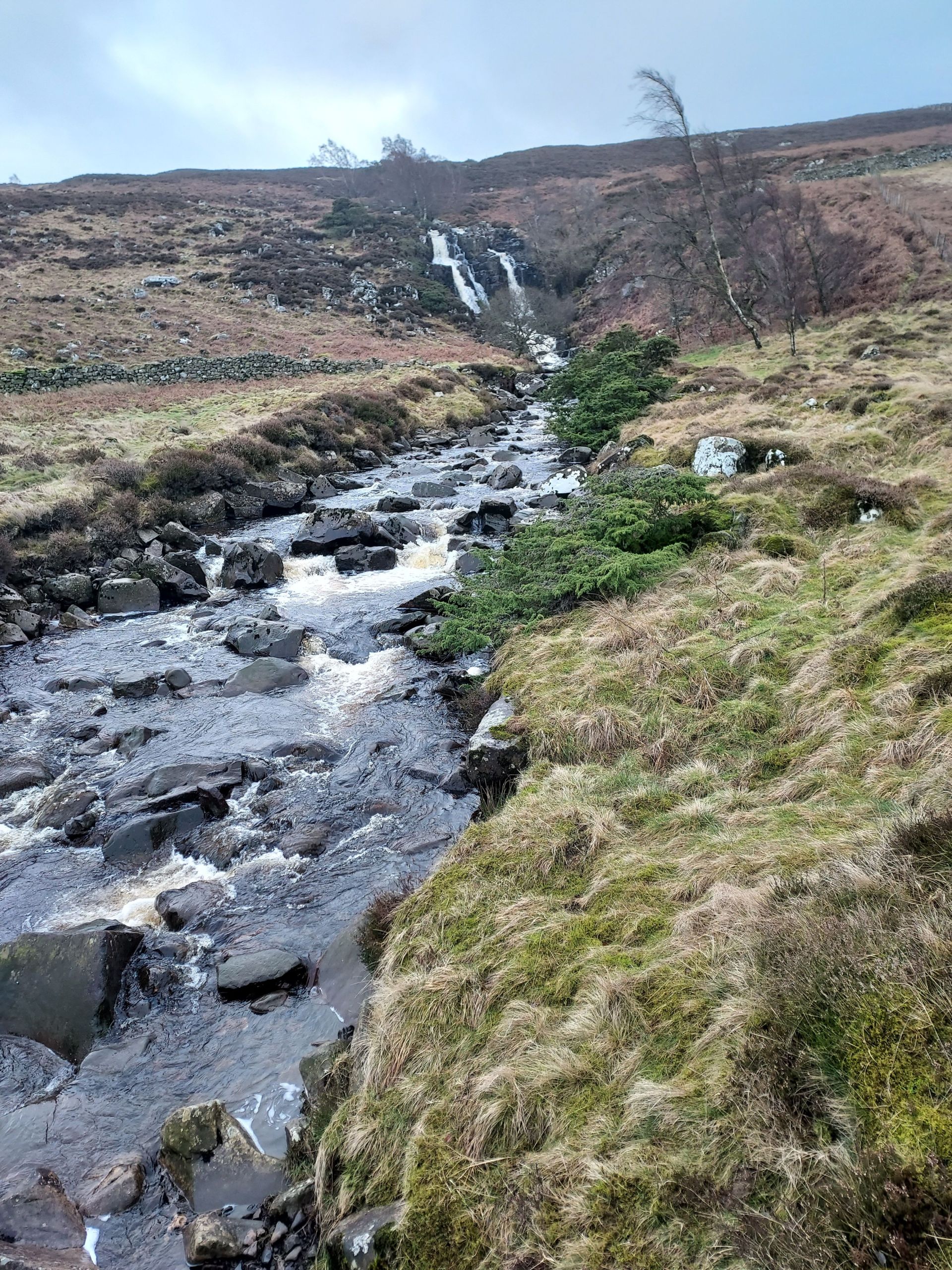 Bleabeck Force