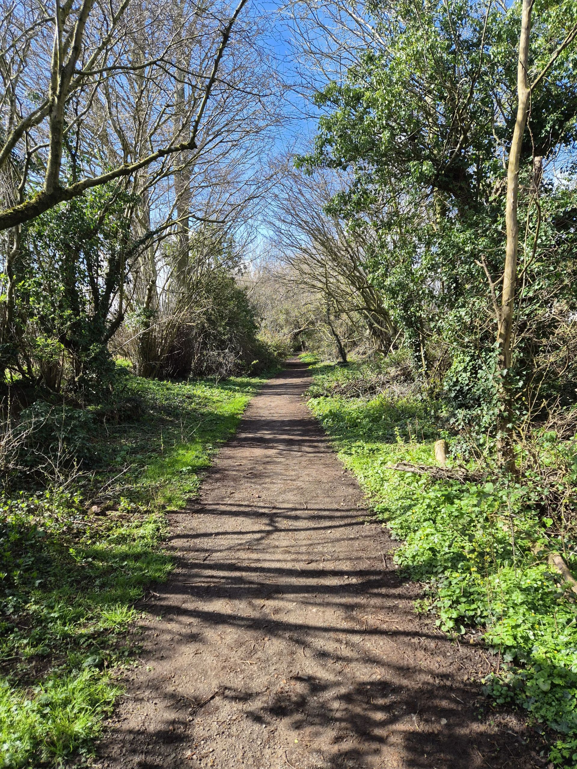 The forest walk in Lea