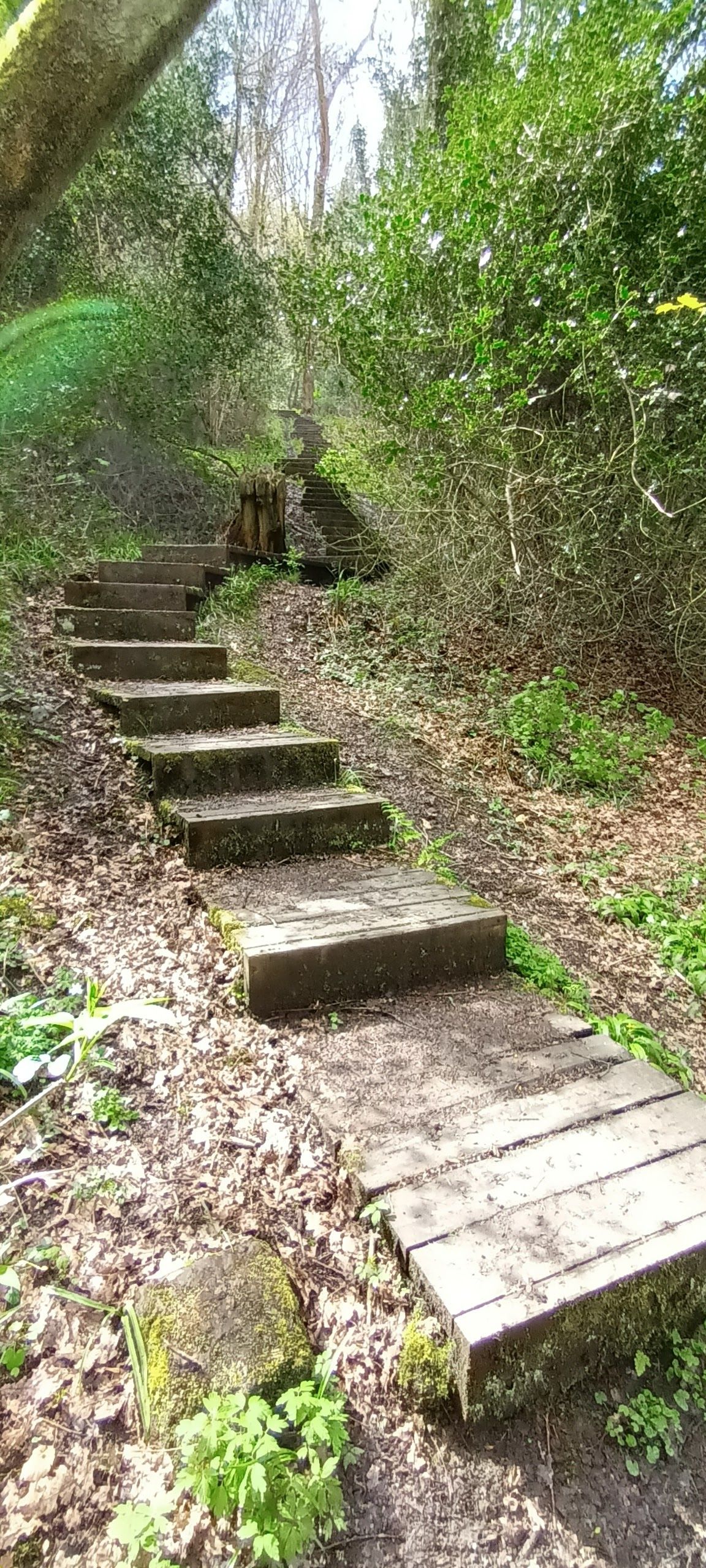 Steps, can be slippery