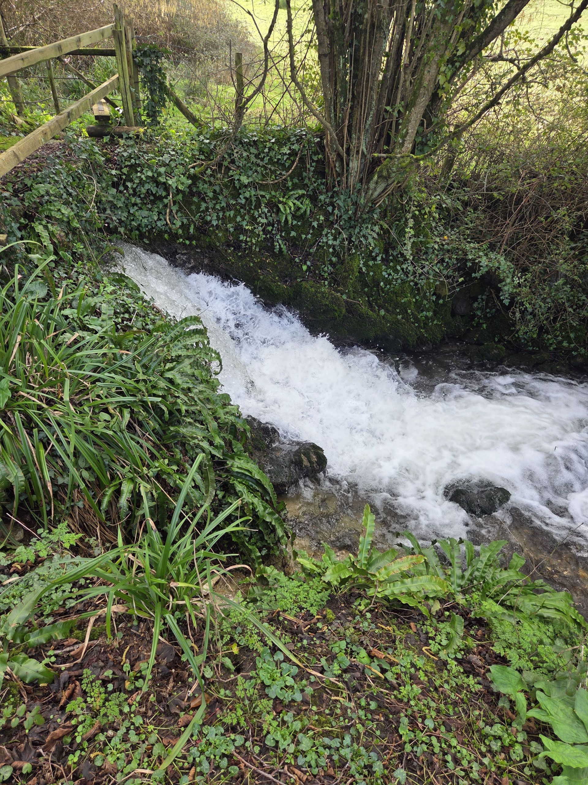Fast flowing stream 