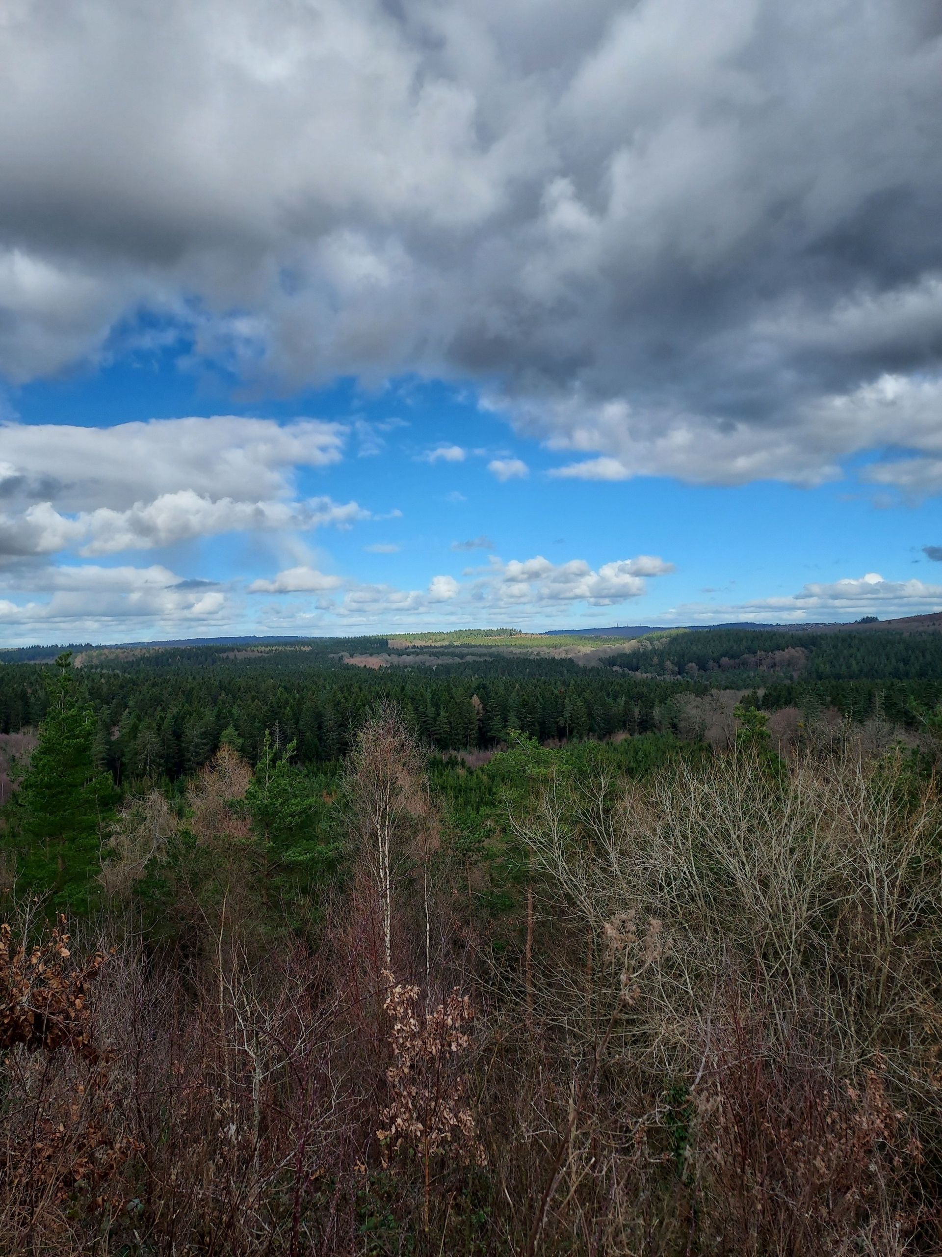 A View from New Fancy