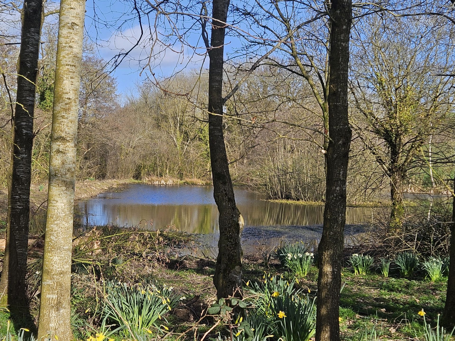 Wood gate Farm pools