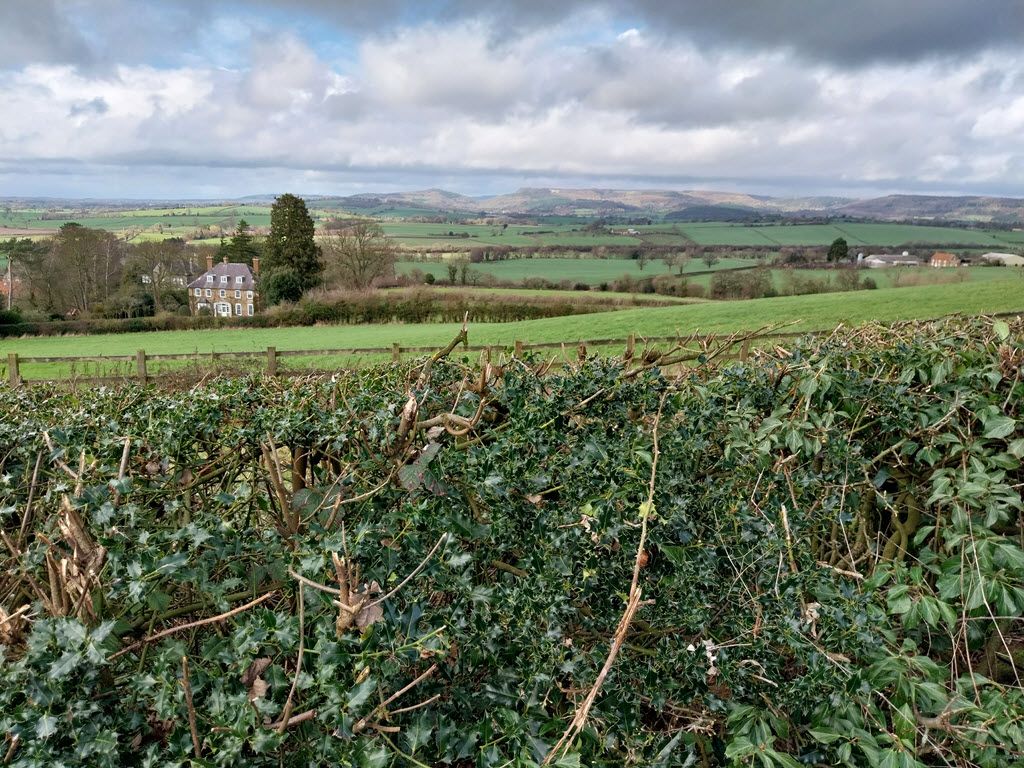 Beacon Banks looking at the White Horsee
