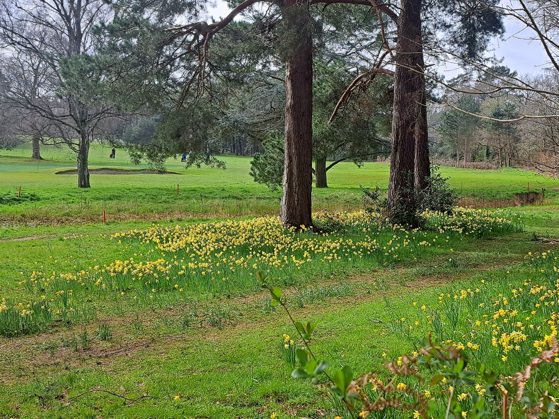 View from the North Downs Way