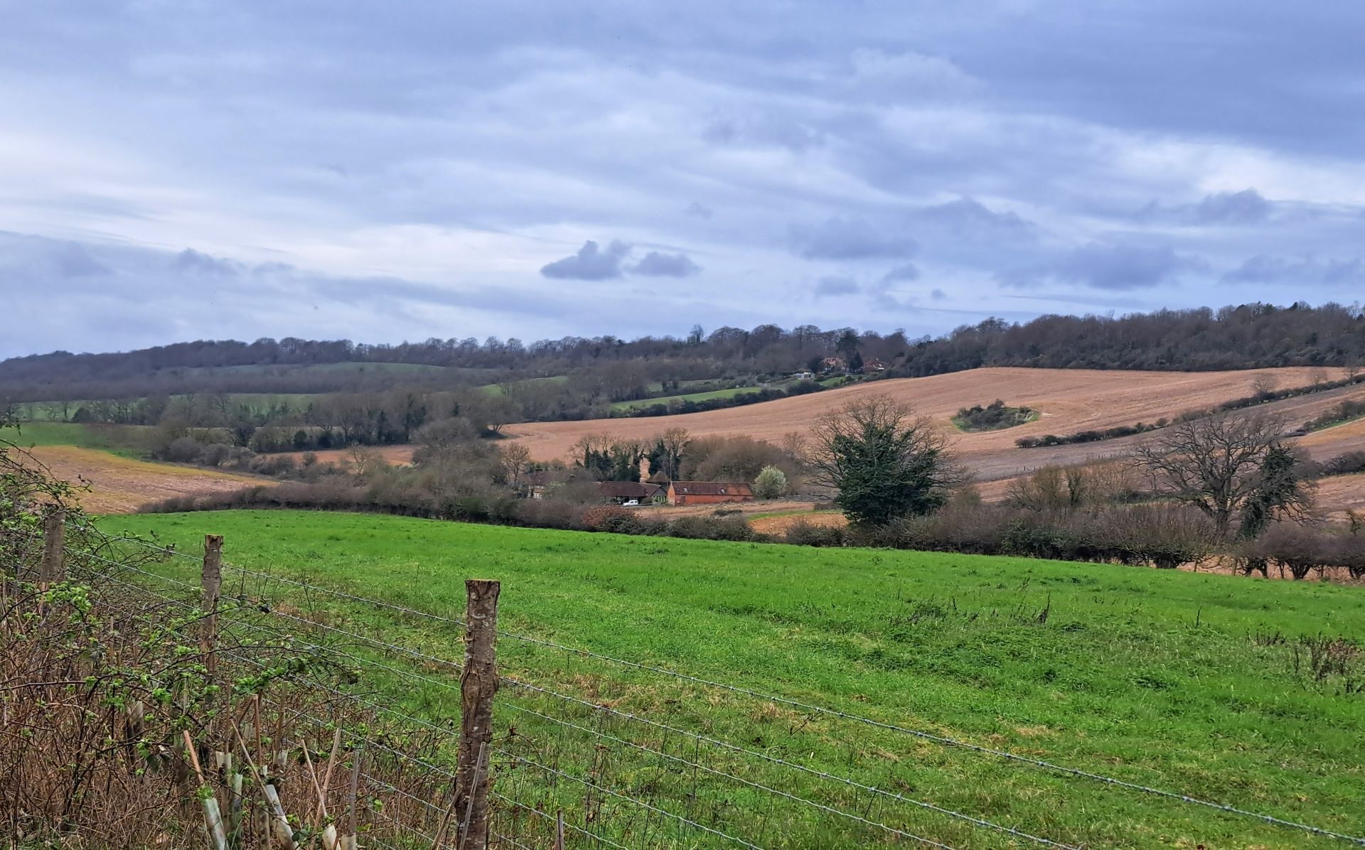 View to the North Downs Ridge/Hogs Back