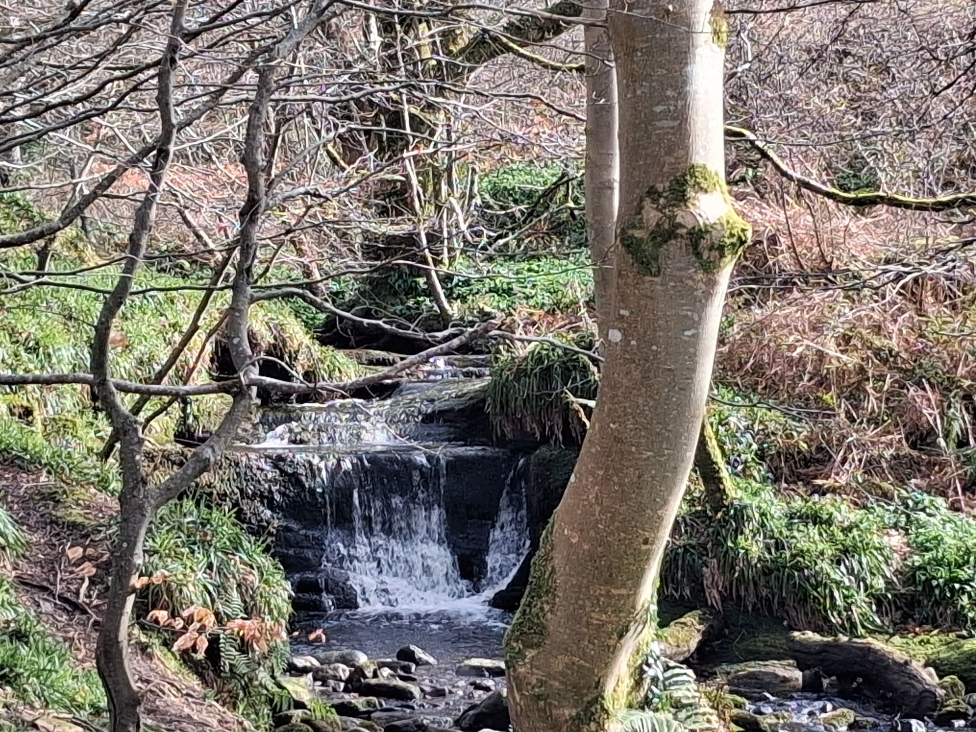 waterfall of Fairlie Burn