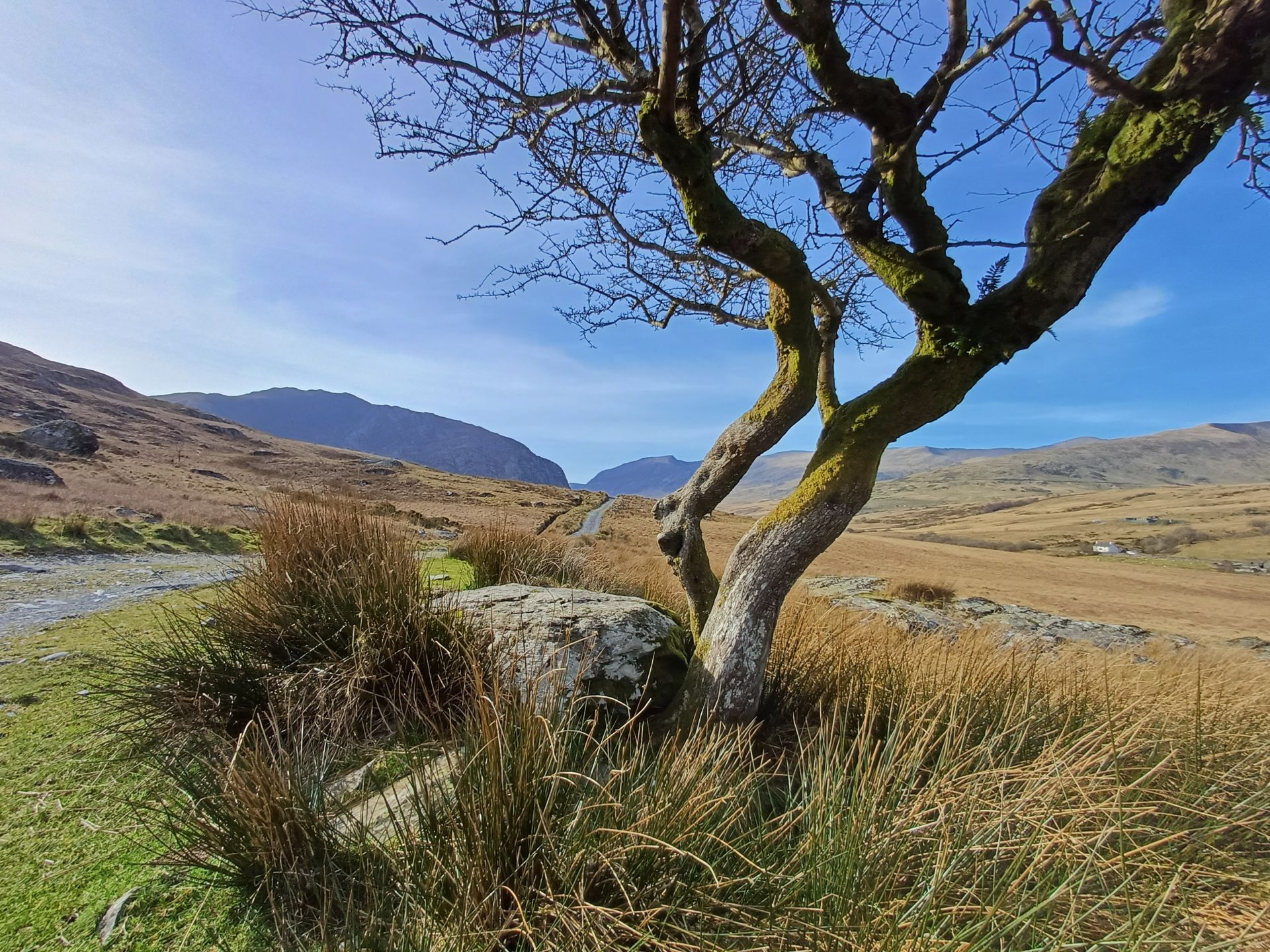 track on the Llygwy valley 