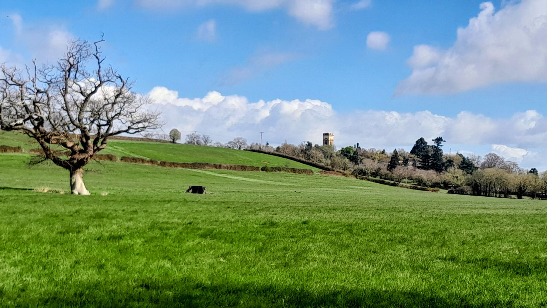 View from the River Wye