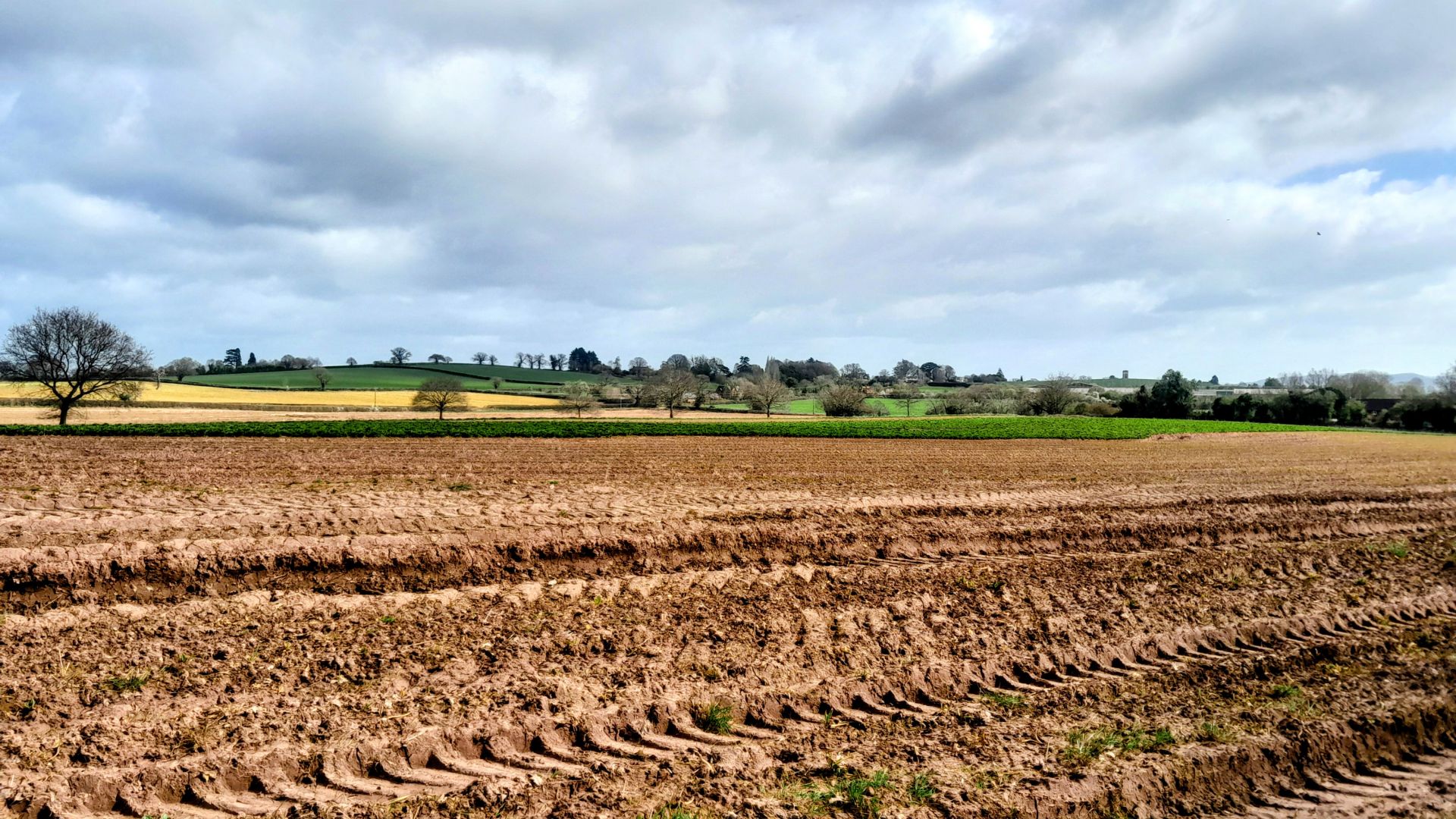 Farmland views near Breinton Springs
