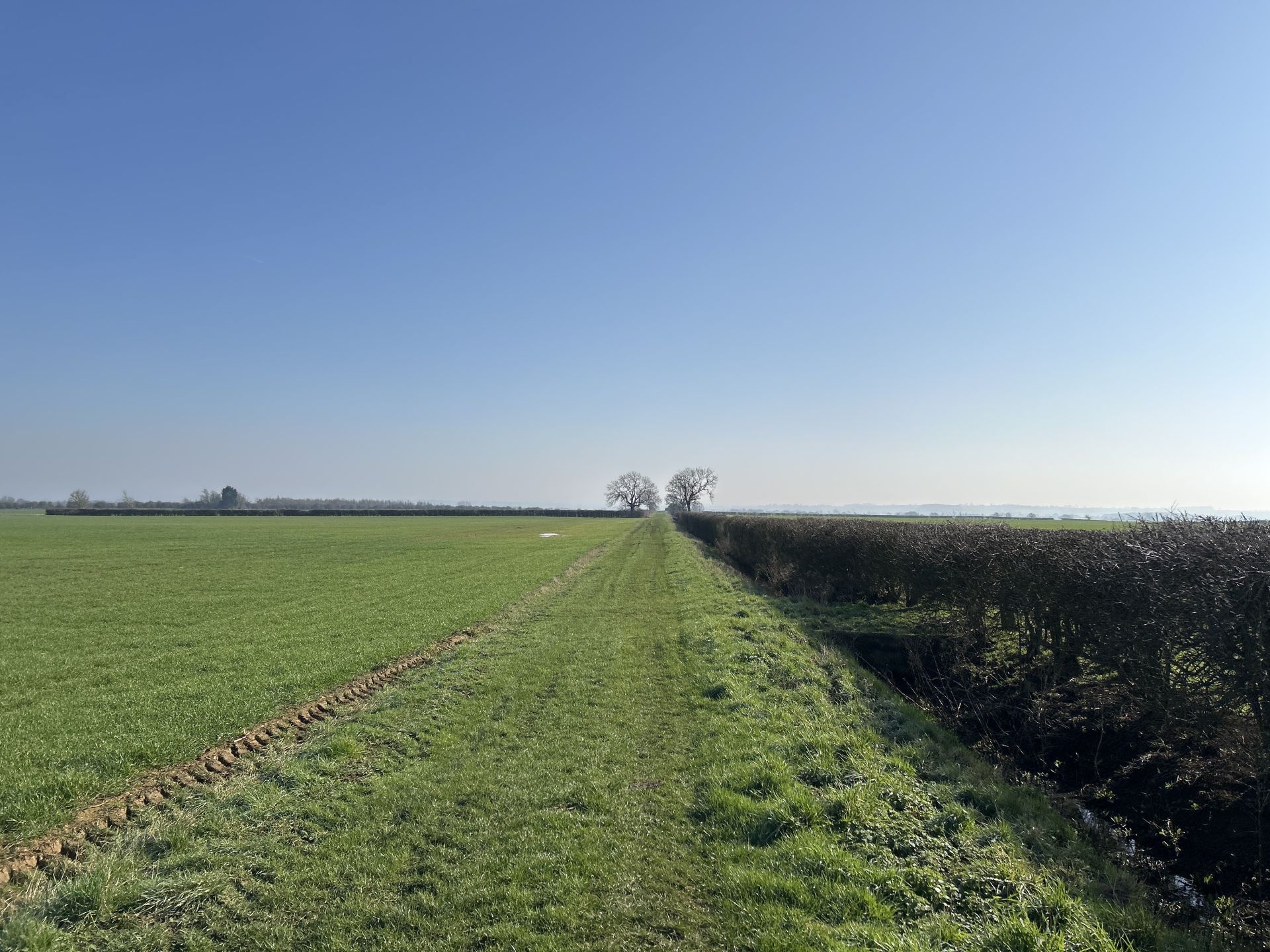 View along the track