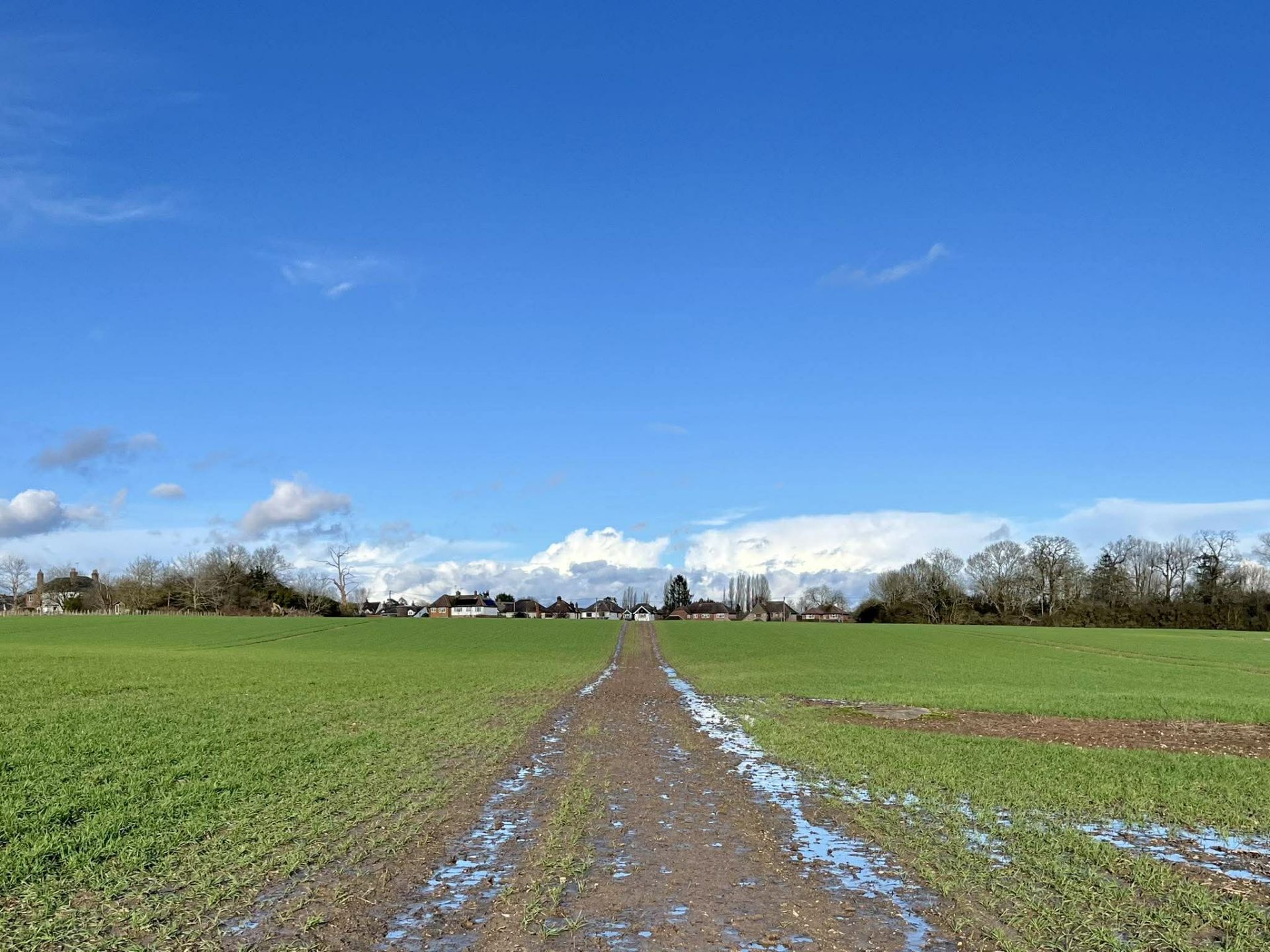 A path through a field with houses in the distance