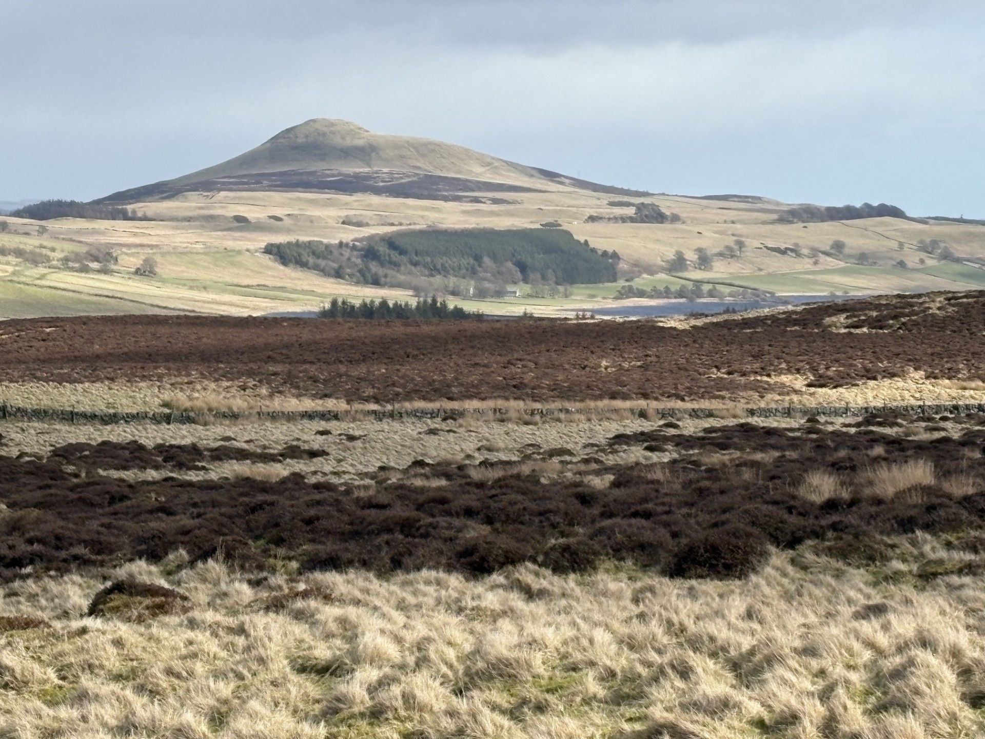 Looking towards East Lomond from Bishop Hill