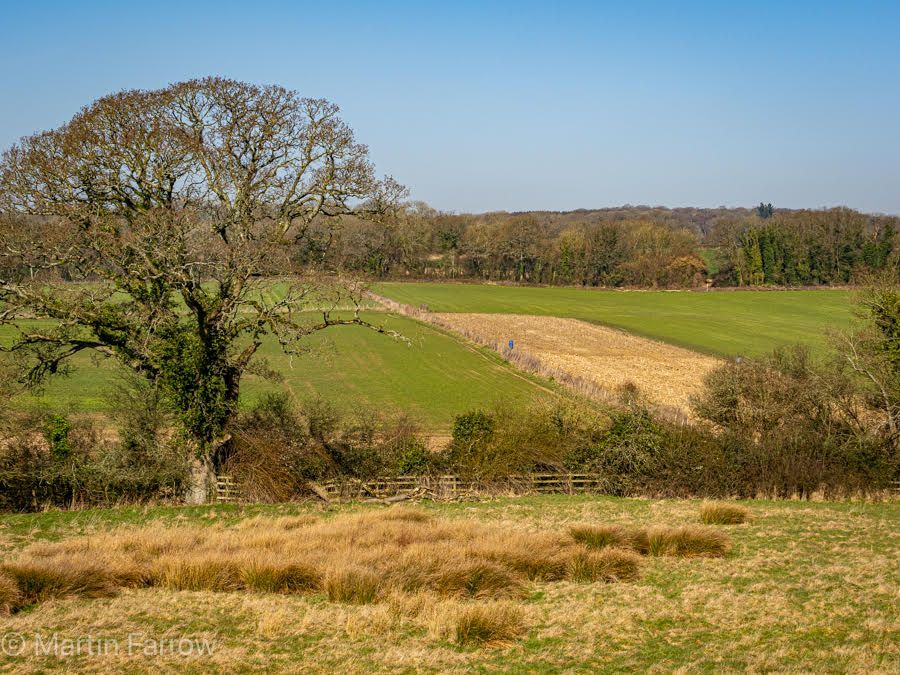 Braishfield track in spring
