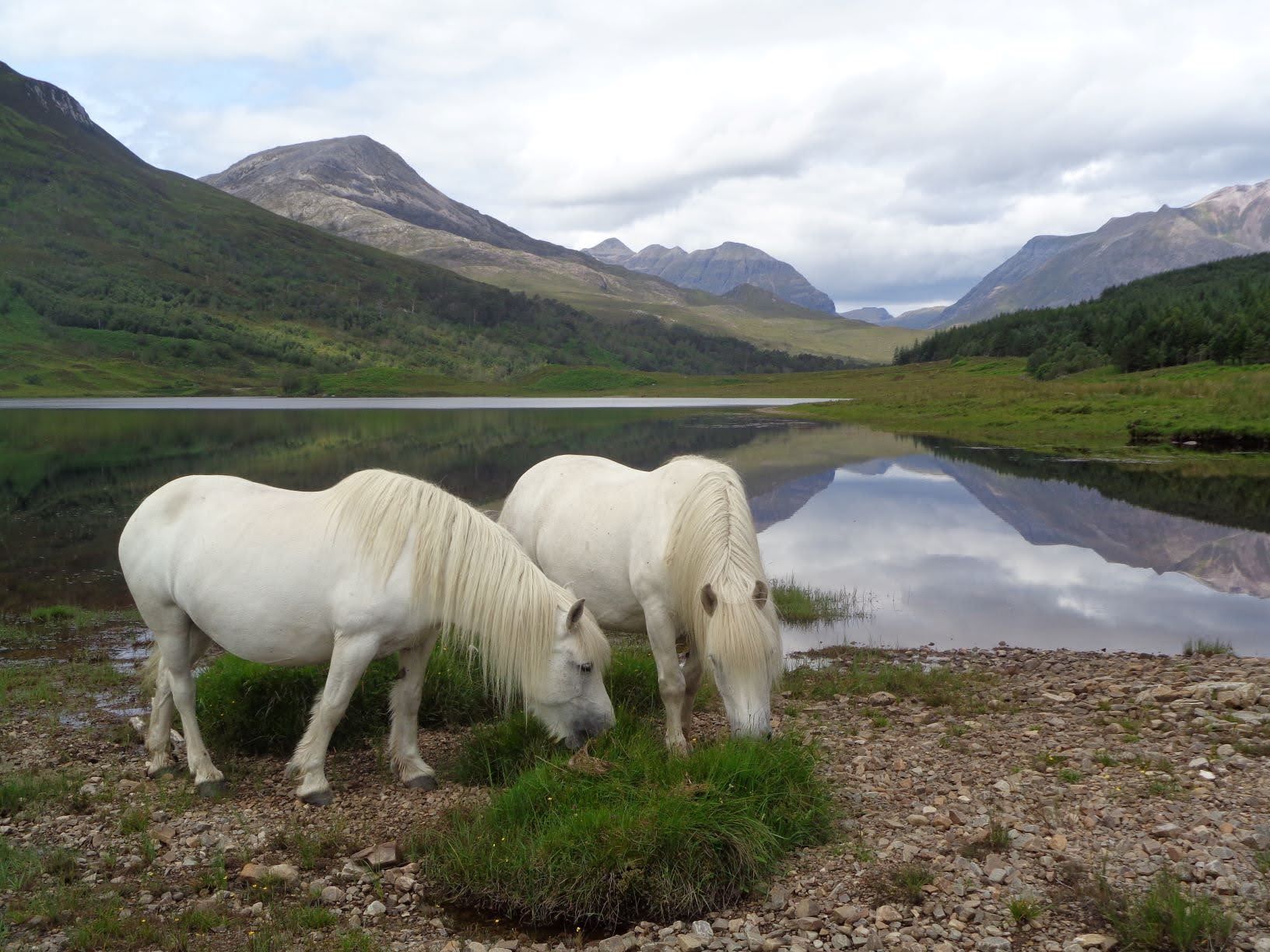 View of Torridon mountains from Loch Clair with horses in the background