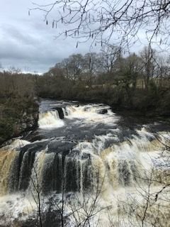 Falls of Clyde