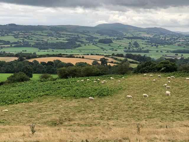 Cornden and Roundton from Rowley Castle