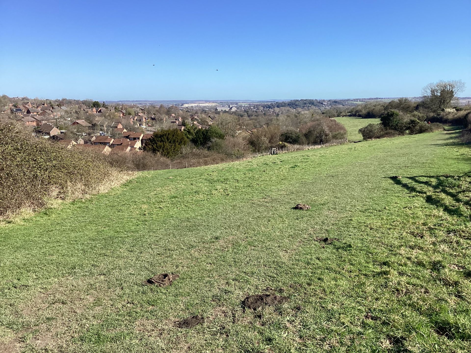 The view from the chalk ridge of Whiteshute