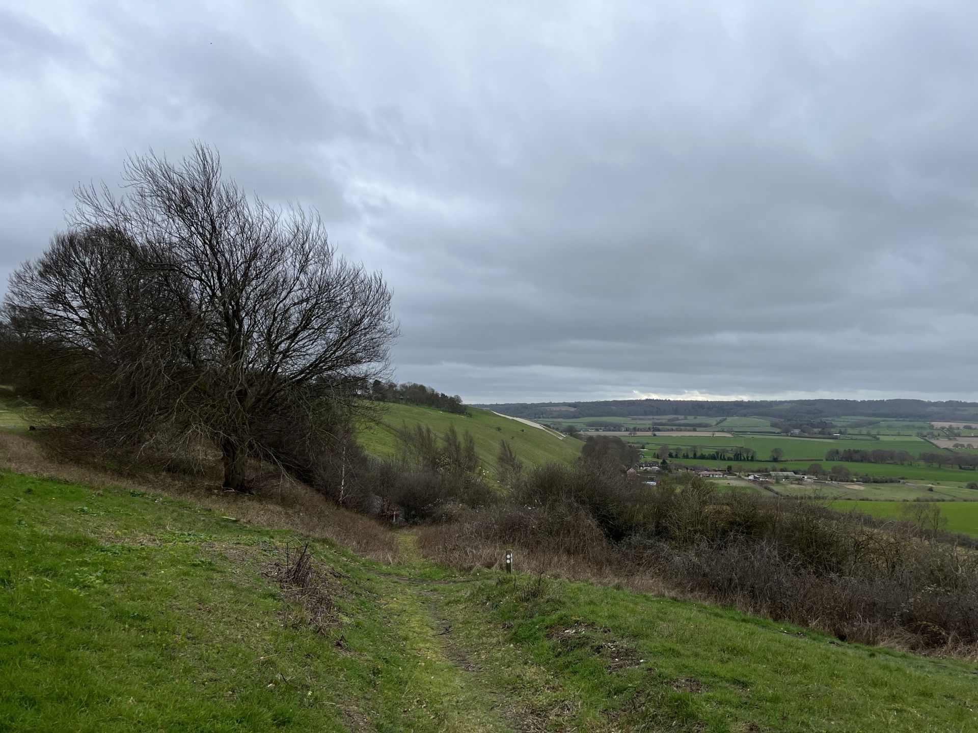 Green hillside with trees and view over countryside