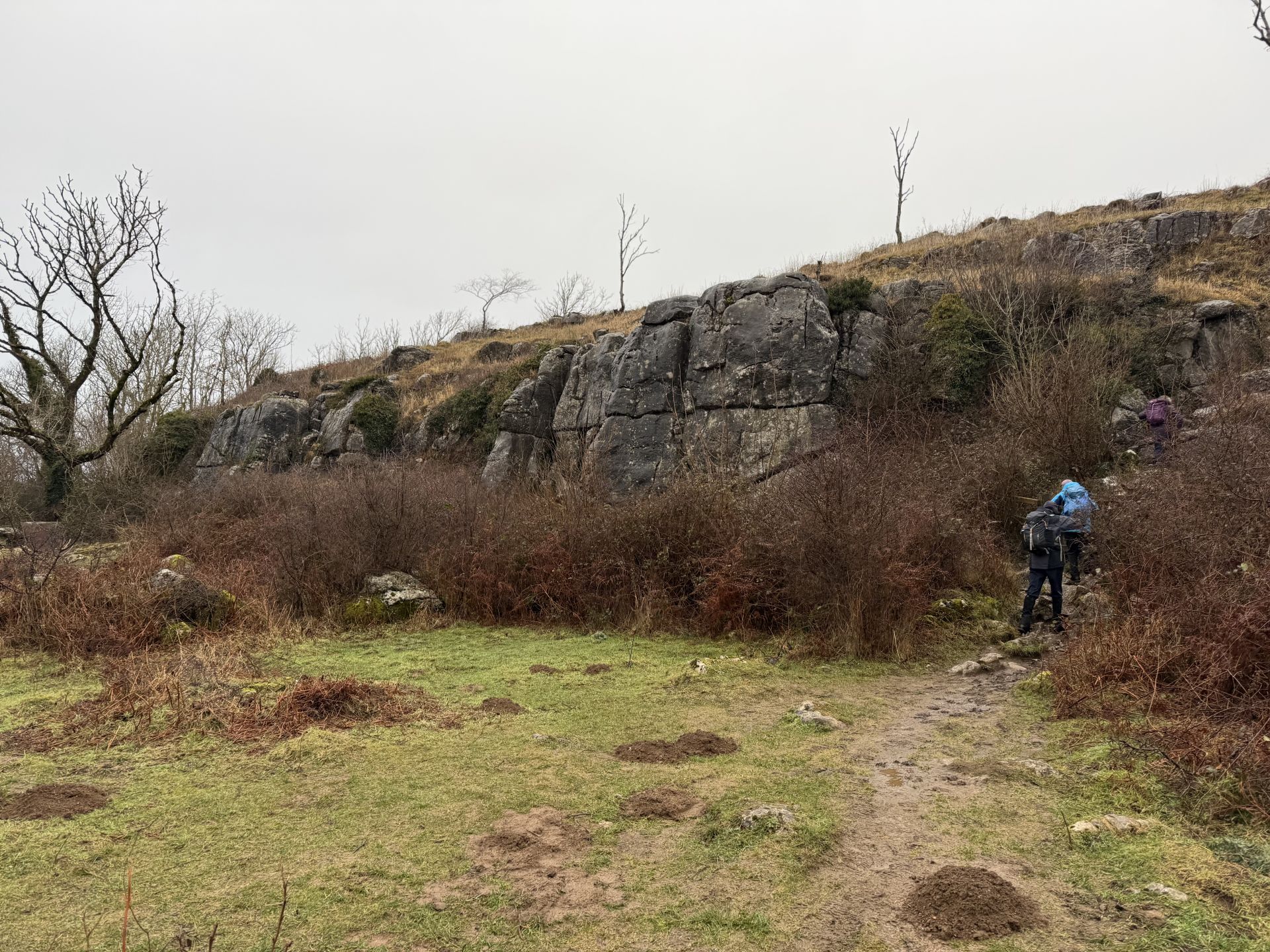 Warton Crag