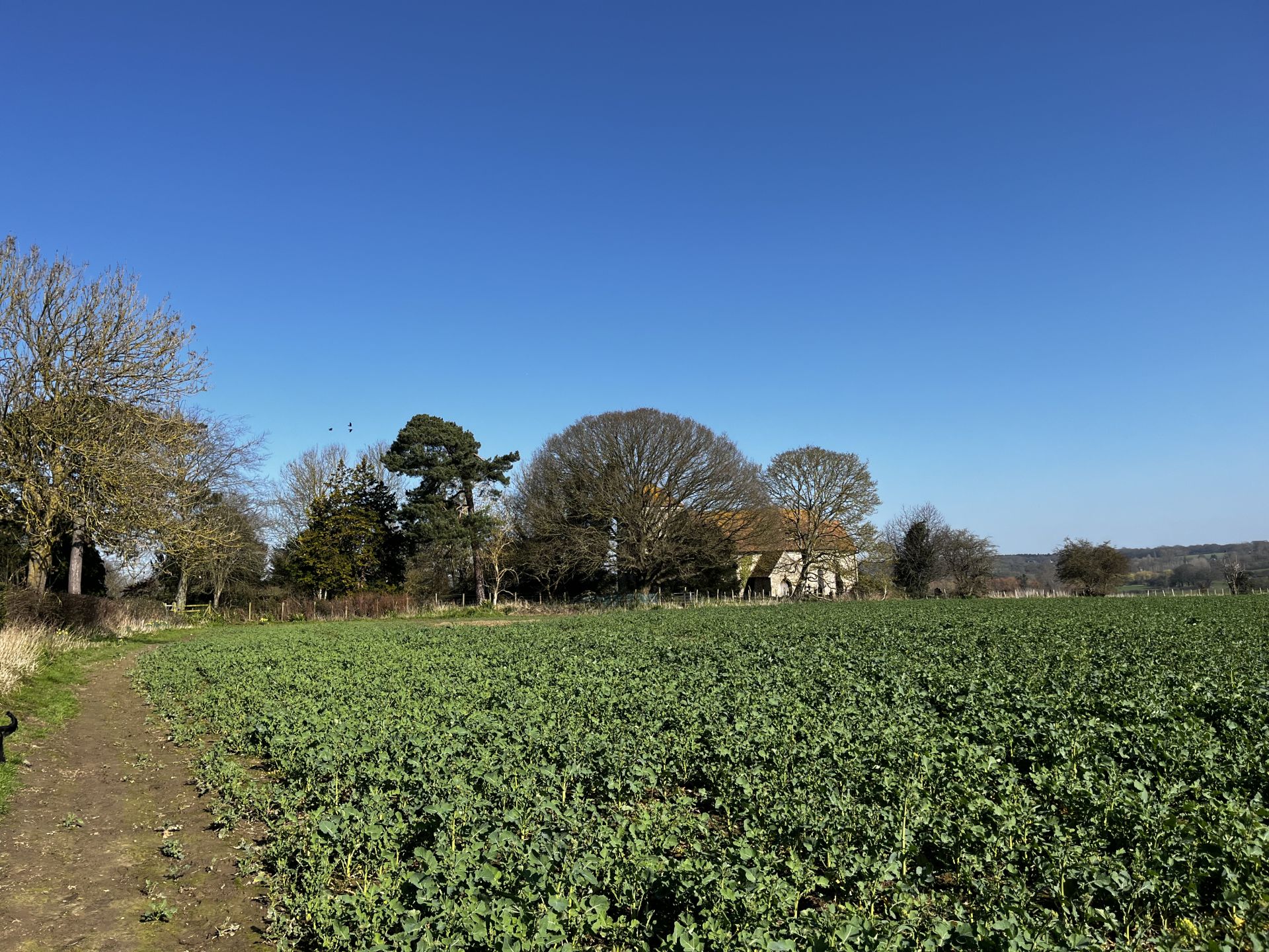 St Mary’s Church at Kenardington