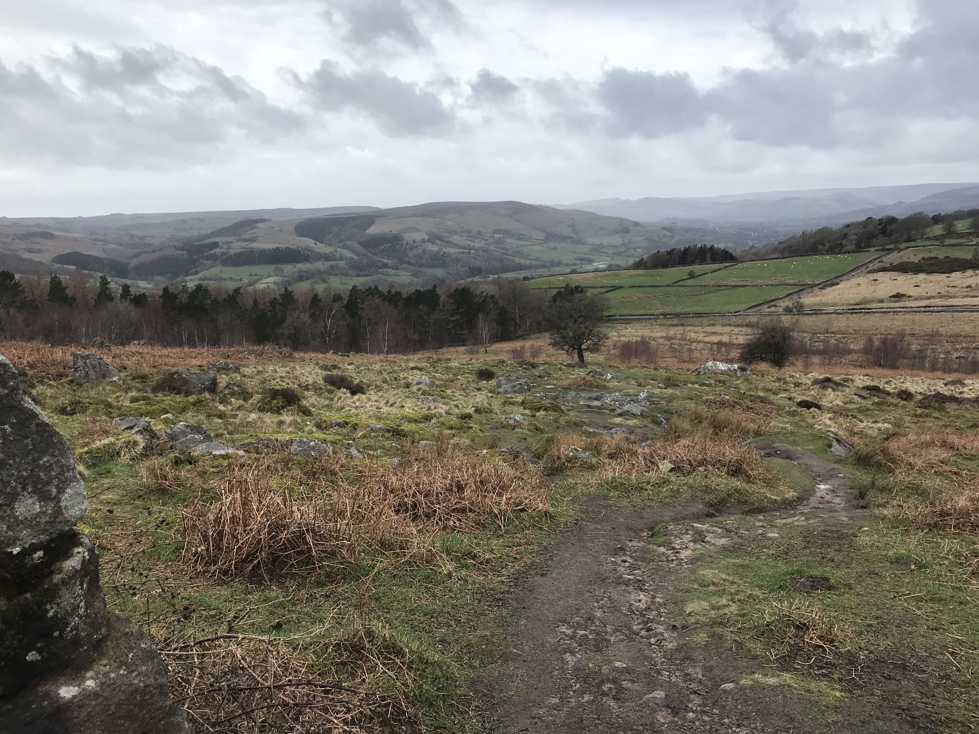 Ascent to Millstone Edge