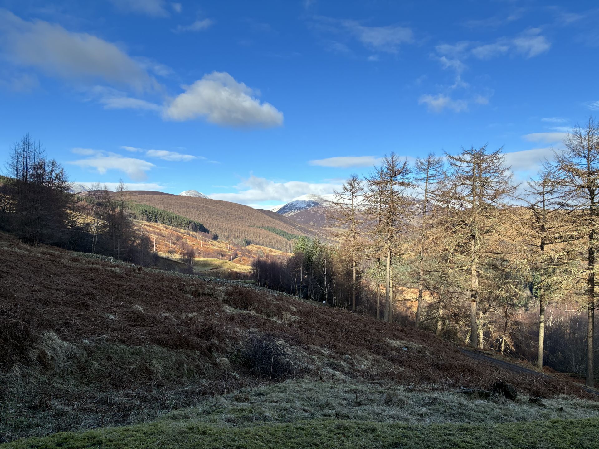 scenic view of rolling hillside around Pitlochry