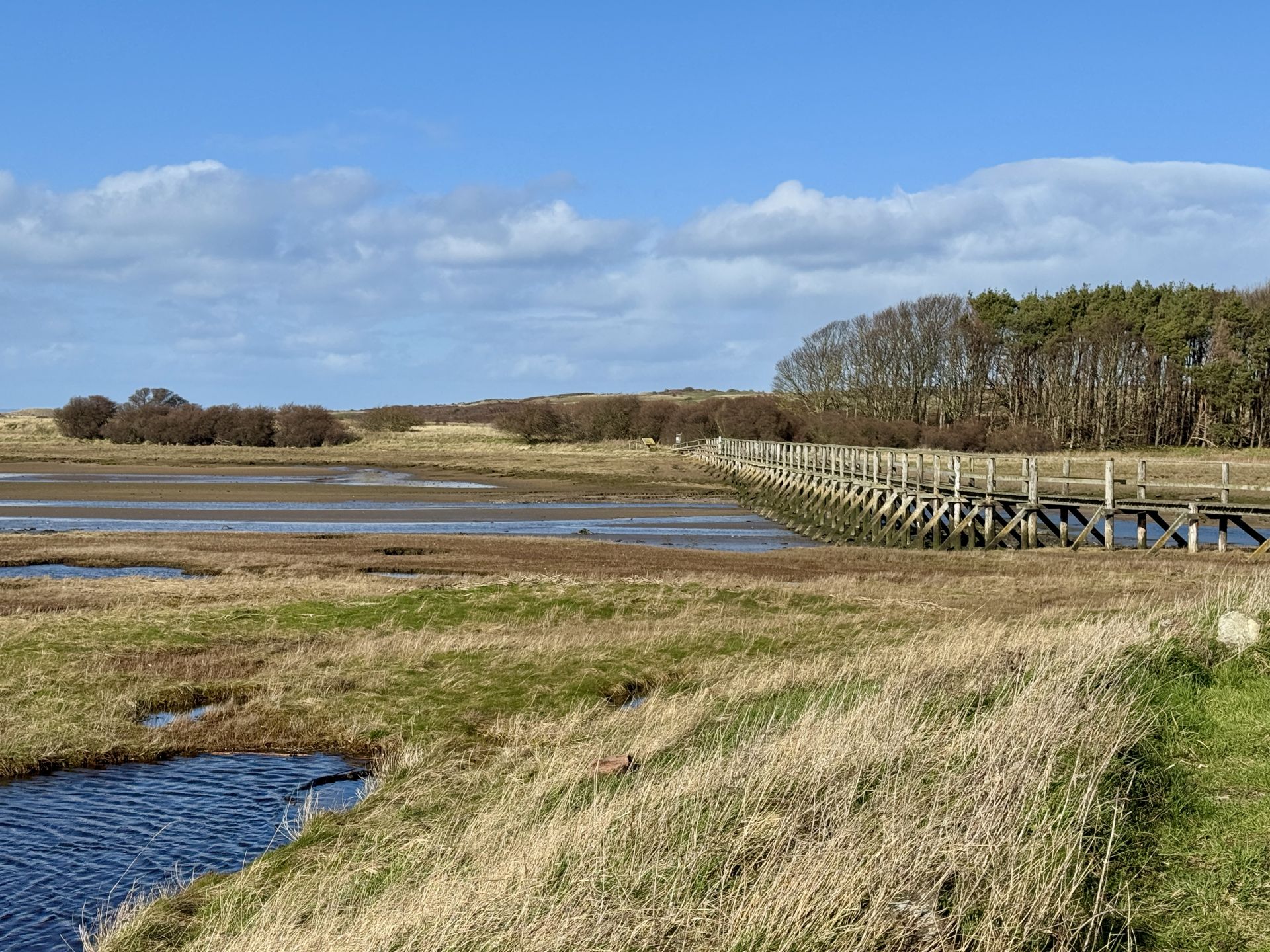 Aberlady Nature Reserve