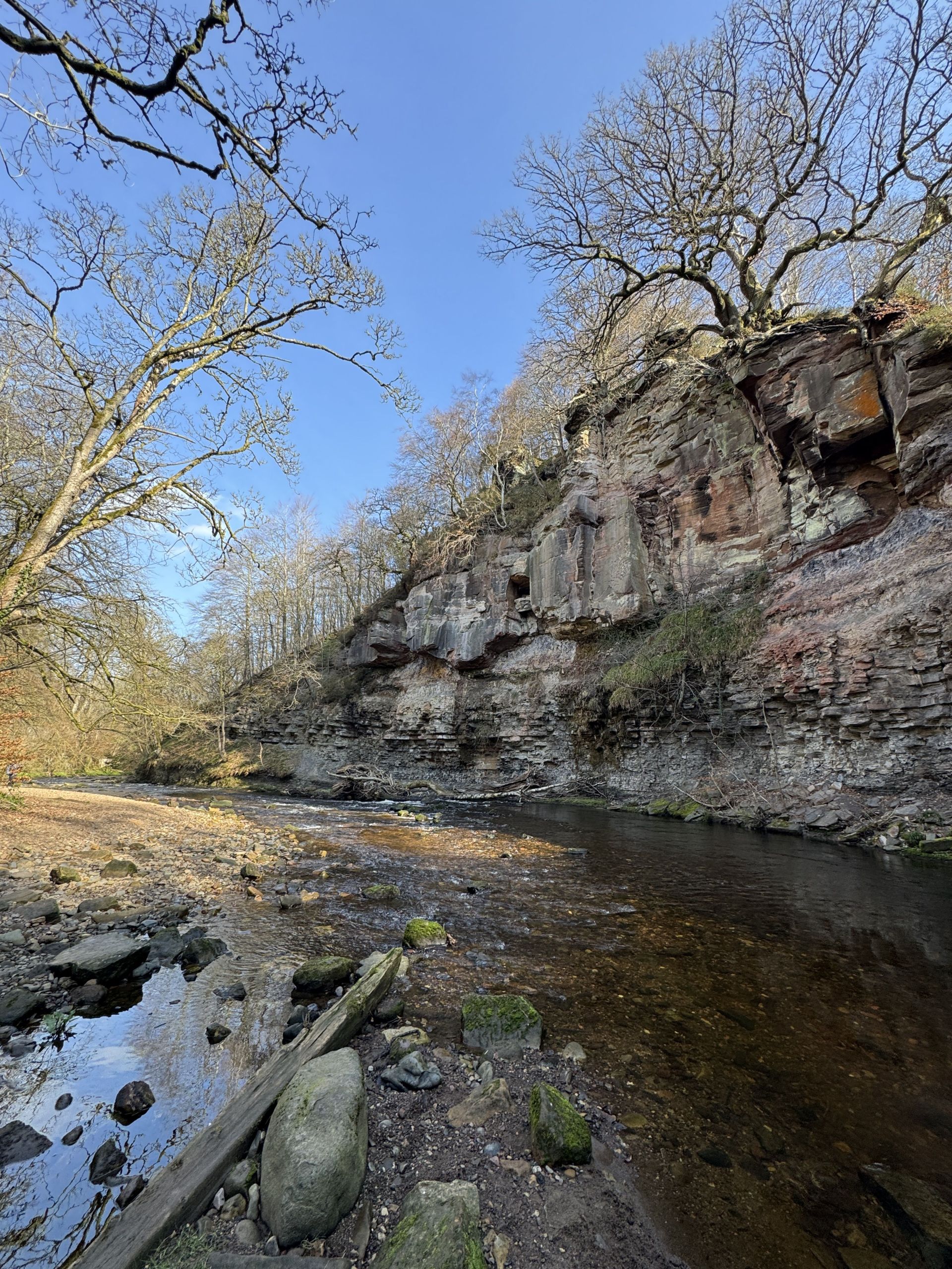 Roslin Glen