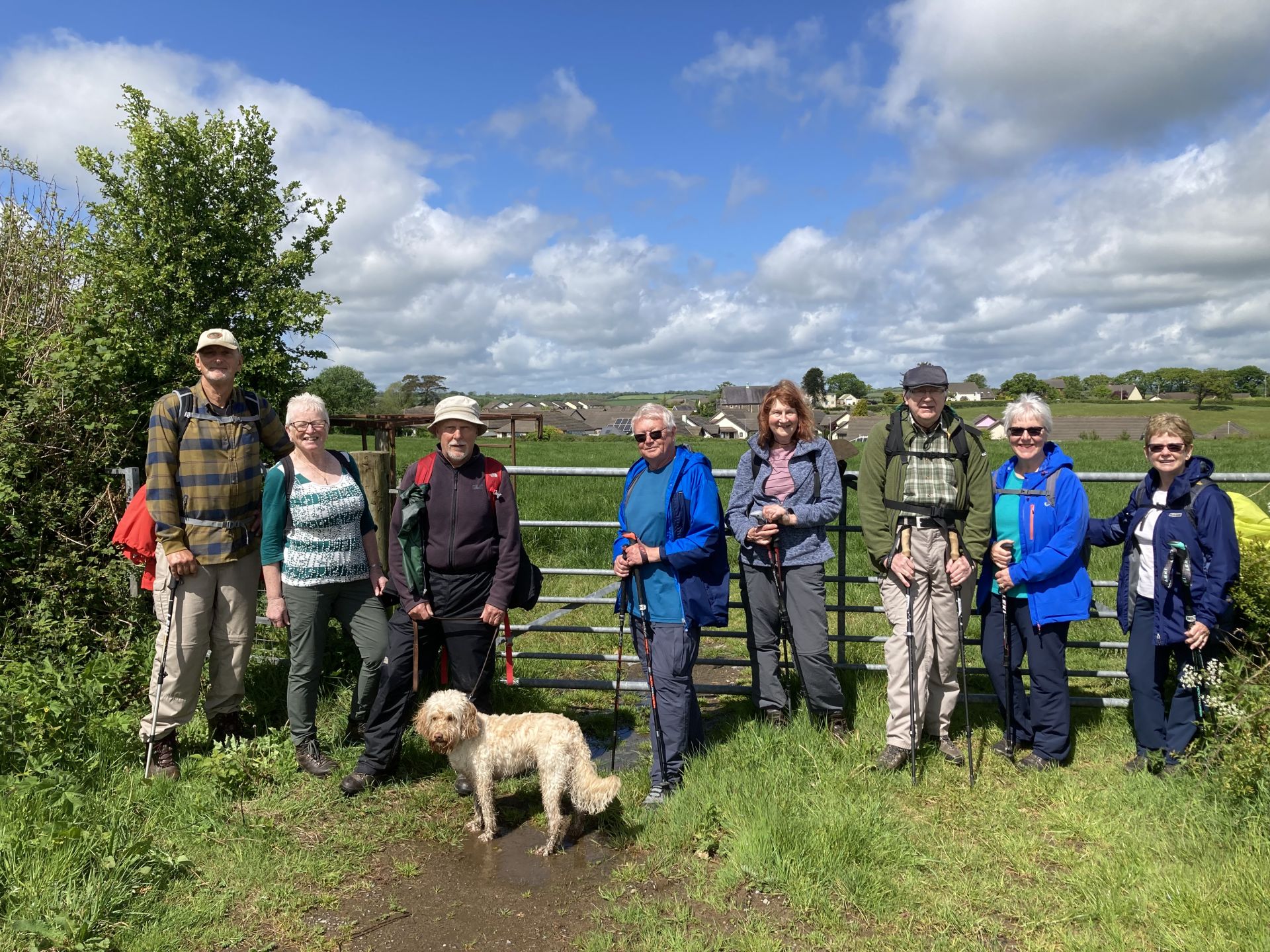 Green Castle Woods Walk
