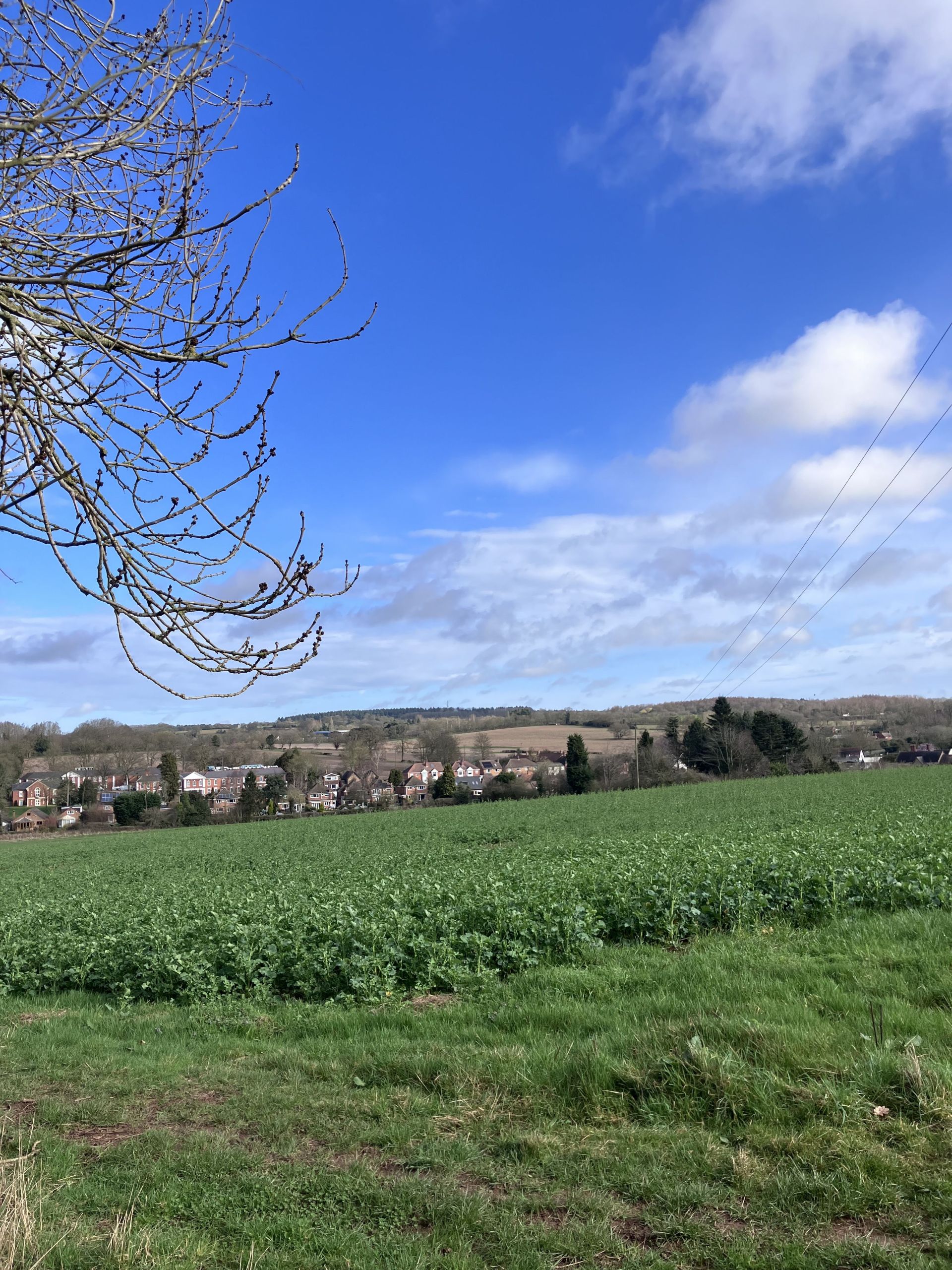 View looking back towards Meriden, from farmland.