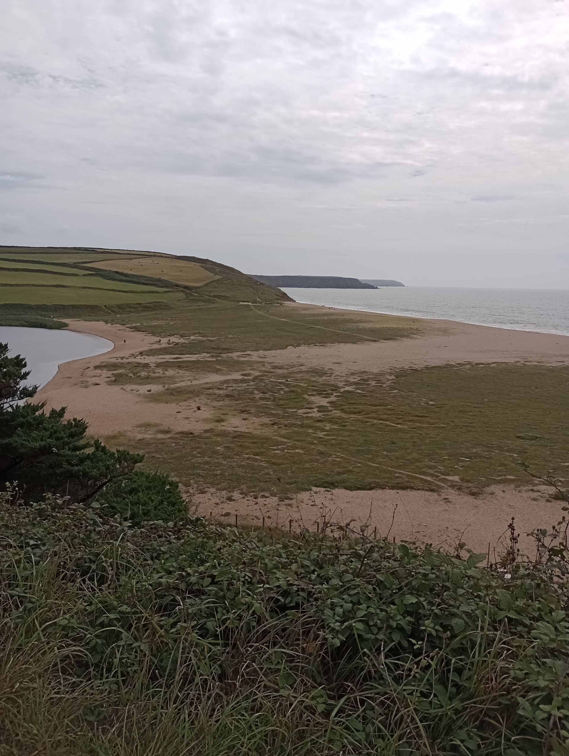Loe Bar