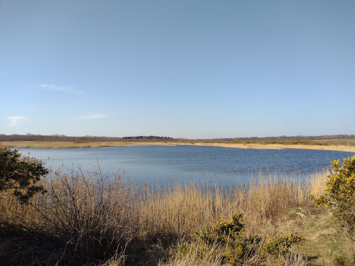 Lake and wetlands at RSPB St Aidan's