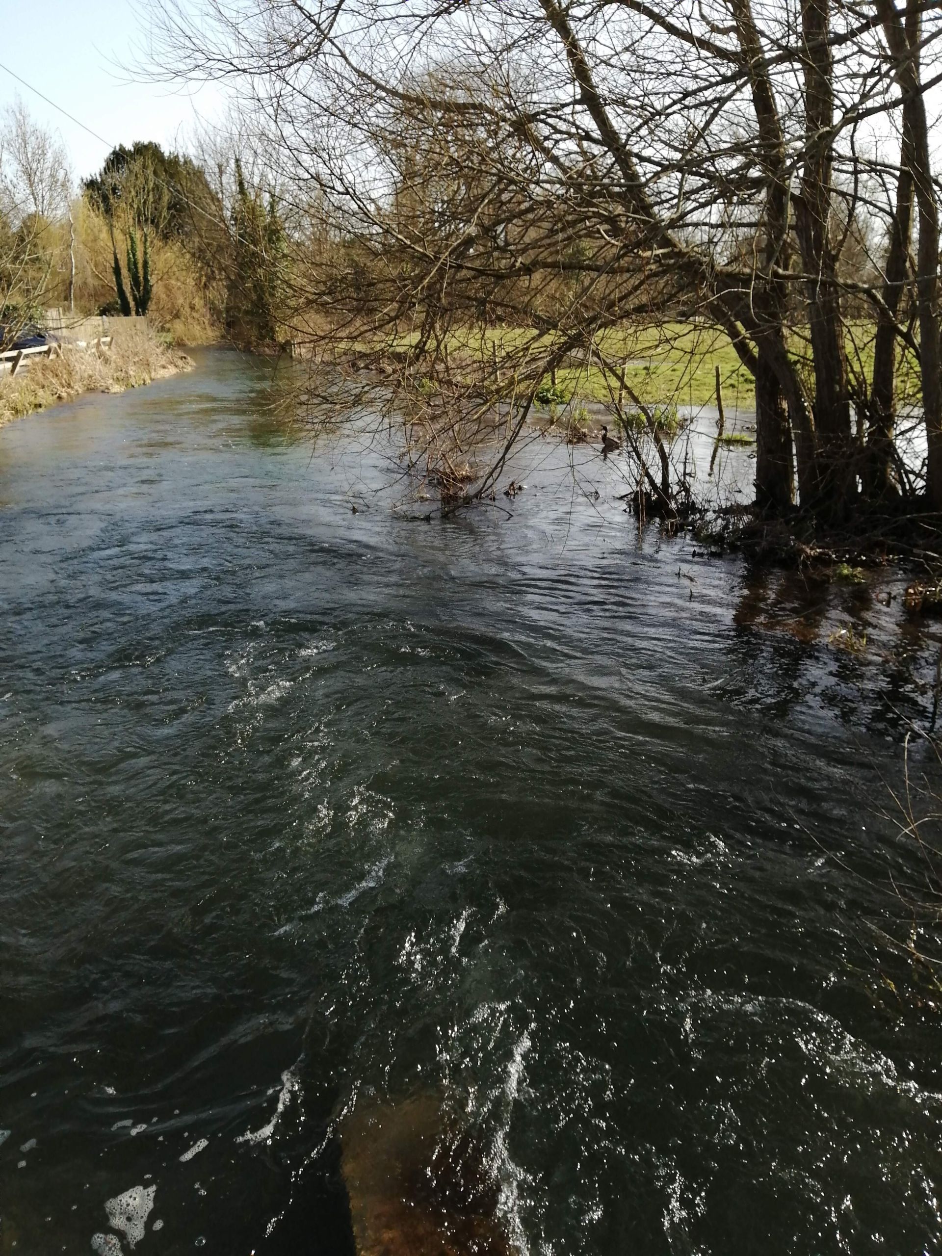 River Meon at Meonstoke