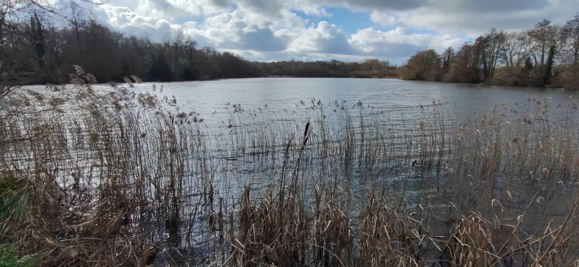 Furnace Pond on High Weald Landscape Trail - 6.8 miles