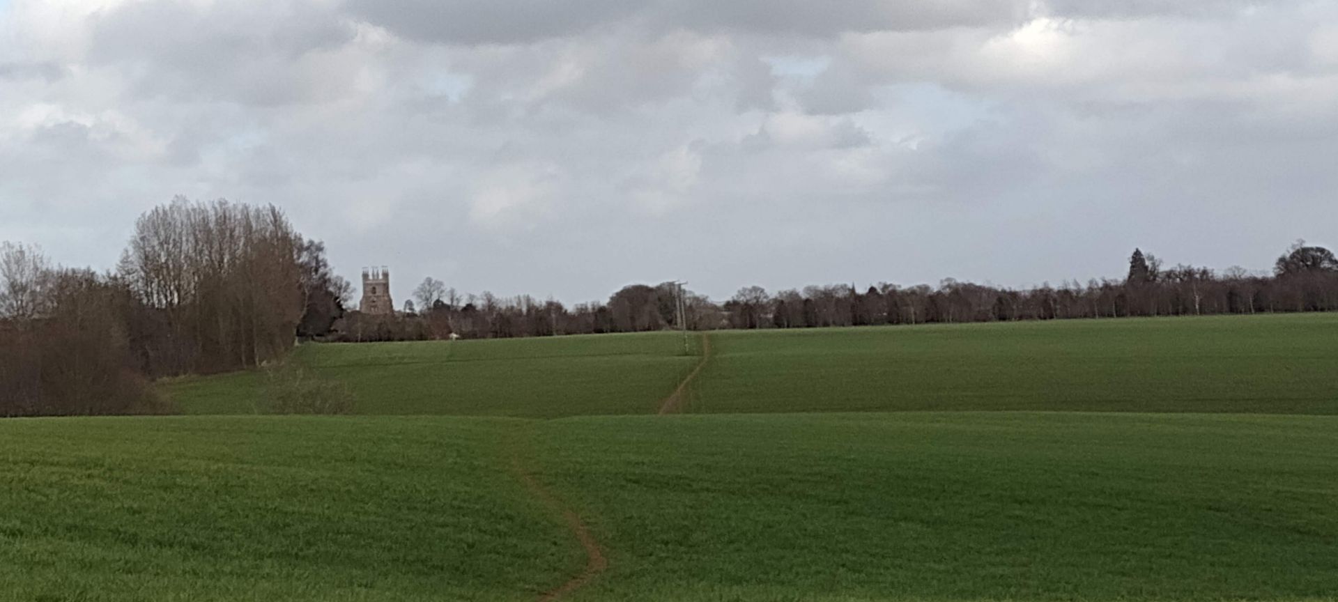 A muddy path through a field
