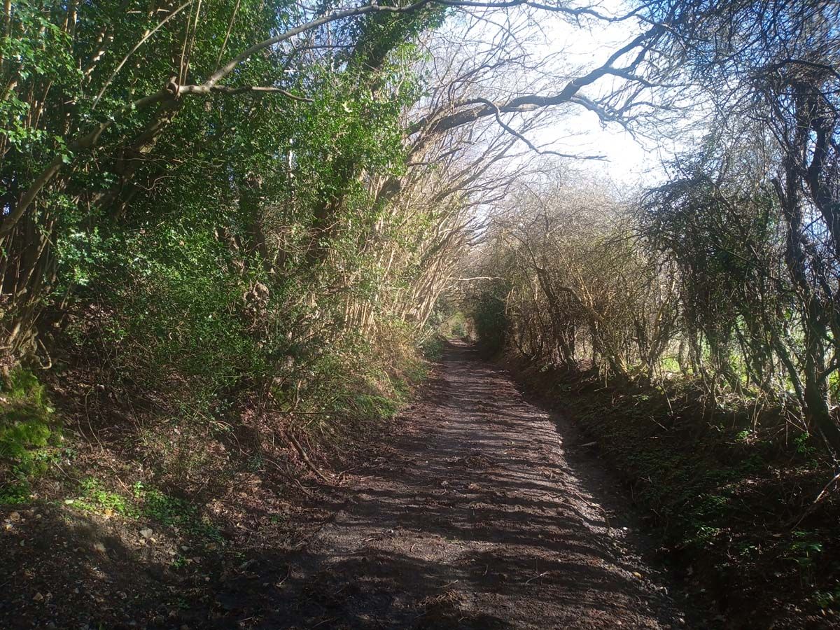 Ley Hill To Chesham Ramblers Ley Hill To Chesham Ramblers