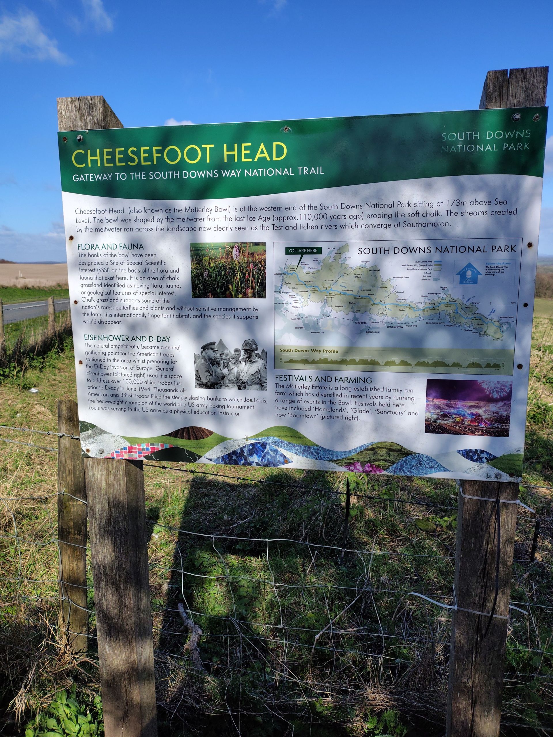Cheesefoot Head