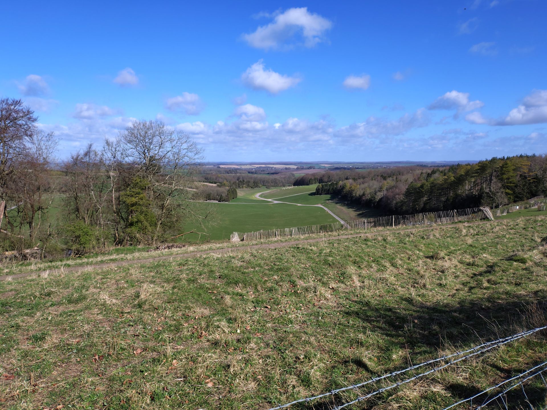 Downland views