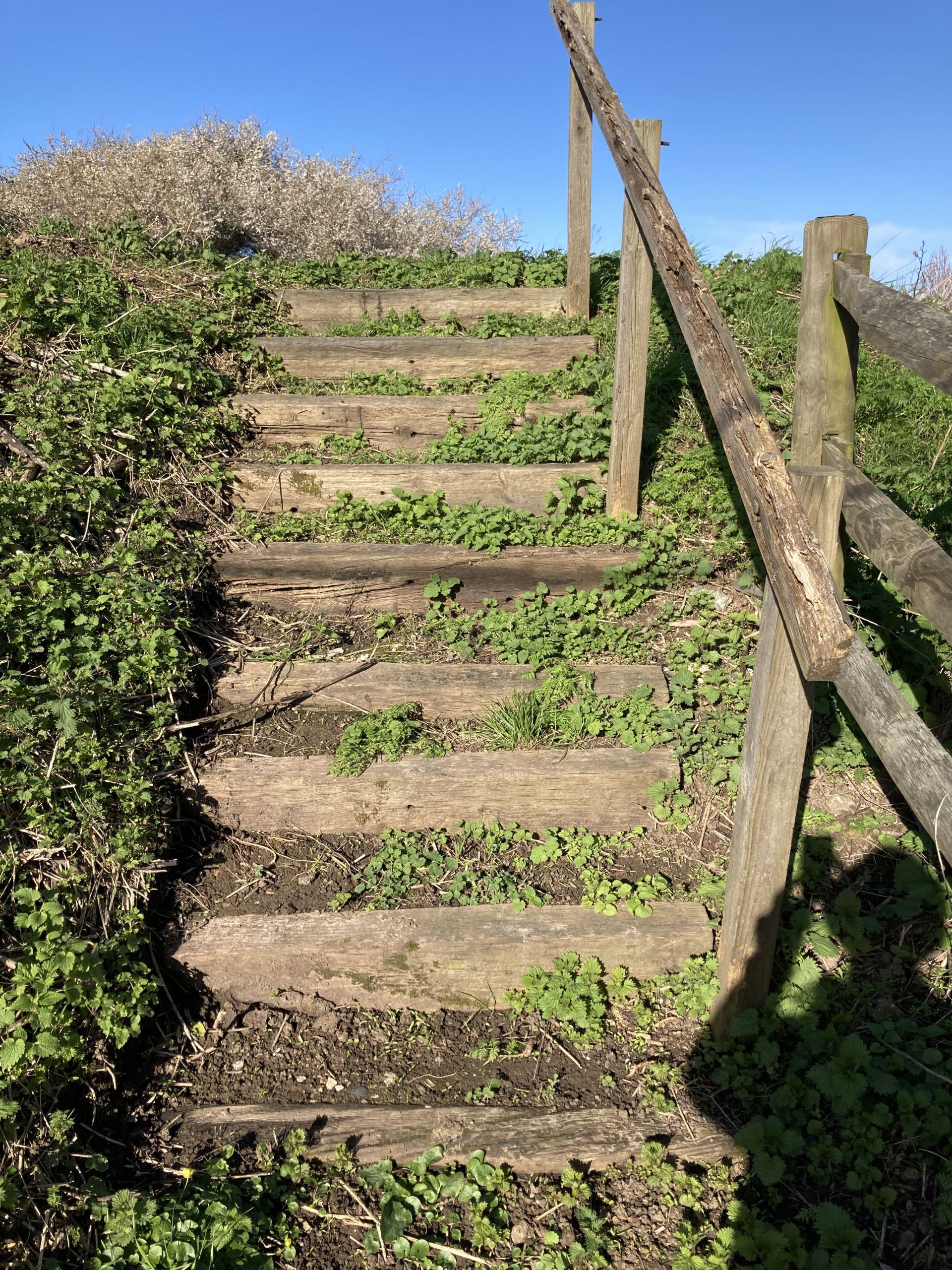 Rustic steps and embankment path