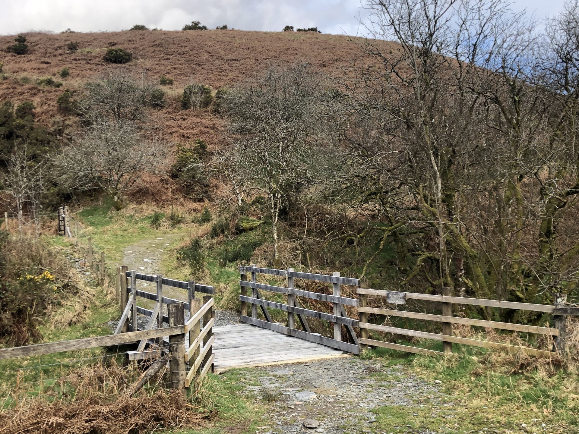 New bridge, thank you ENP!