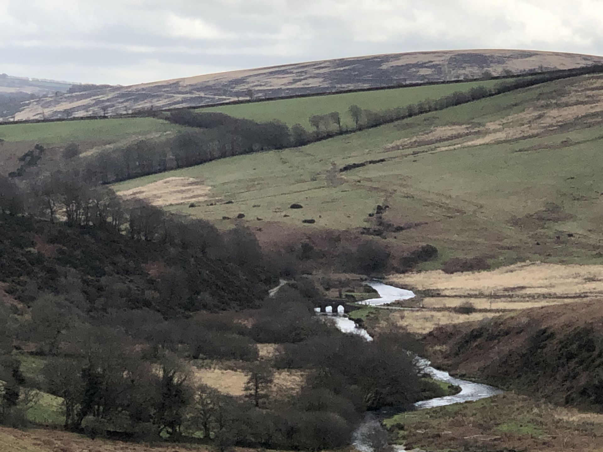 Landacre and river Barle