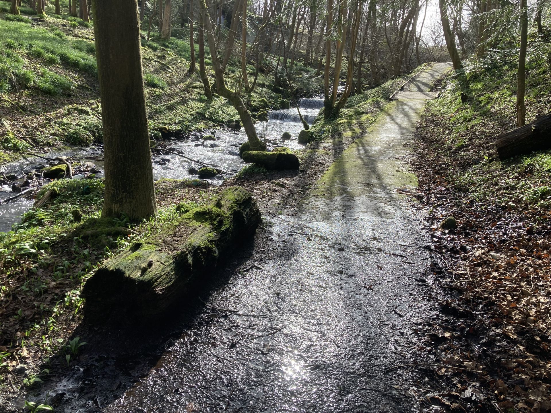 The burn in Castlemilk park