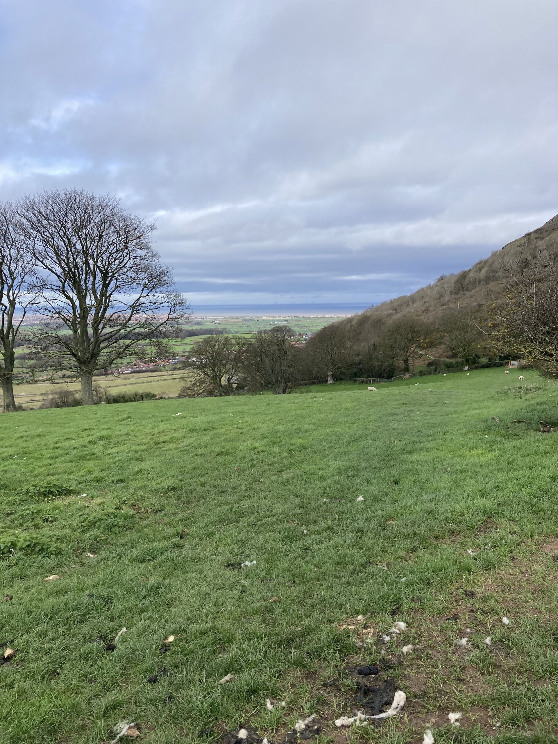 Looking back at the sea