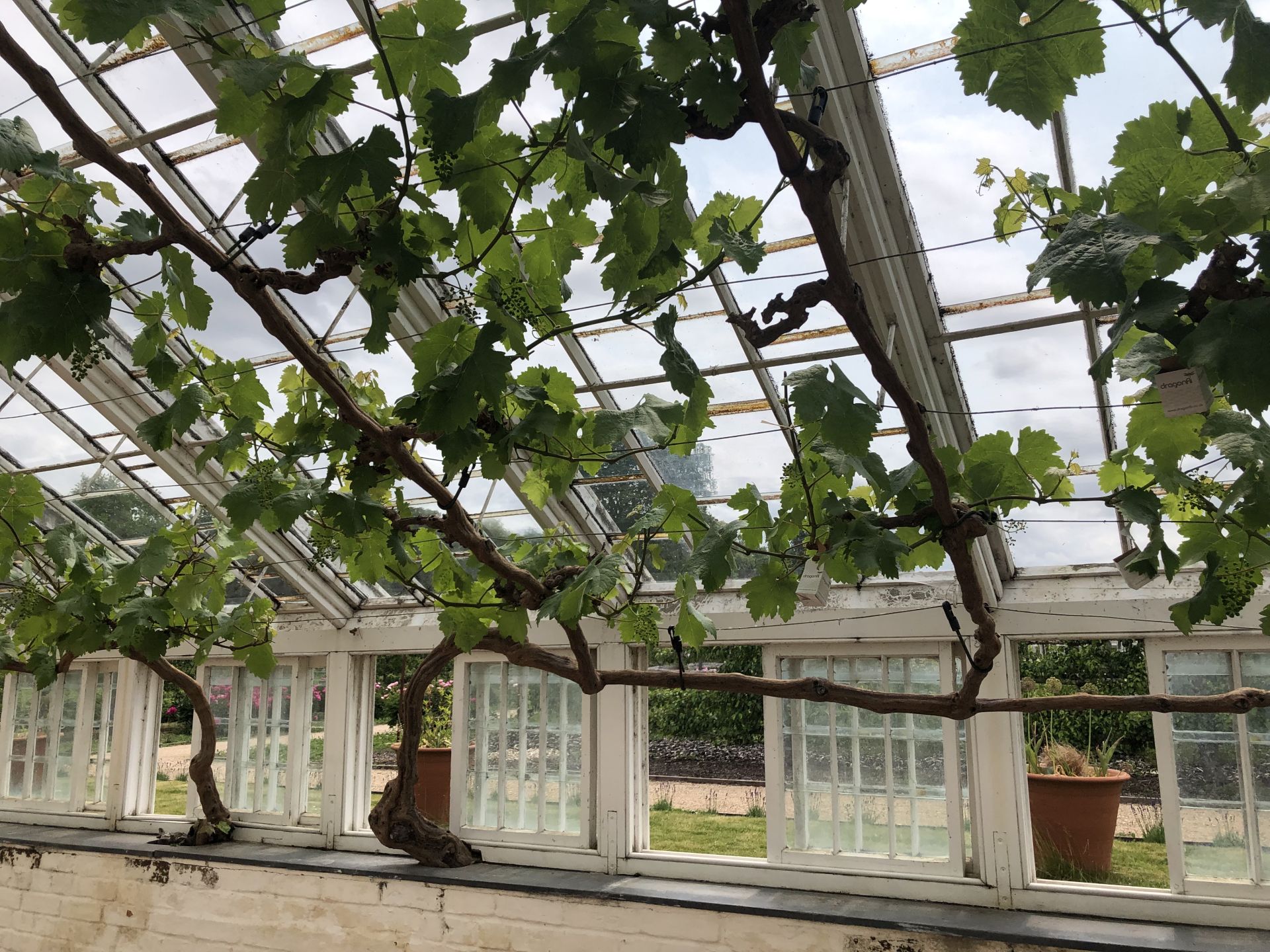 Audley End House Glass House