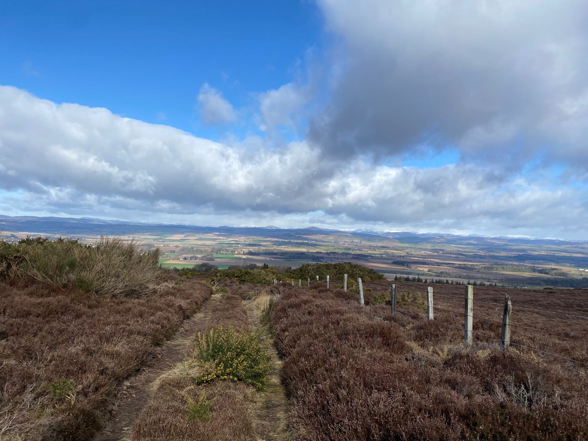 View of Strathmore Valley