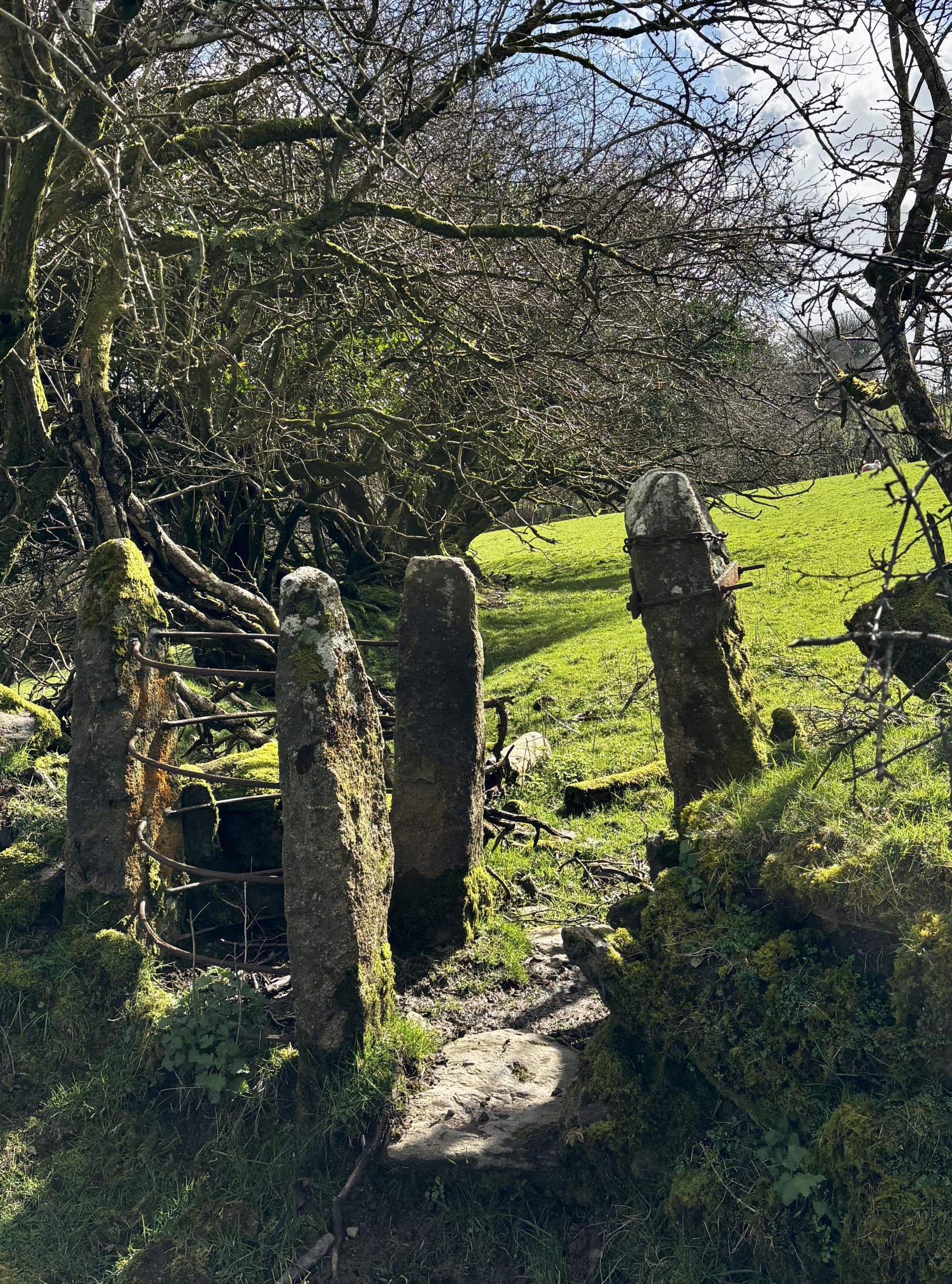 A ramshackle kissing gate